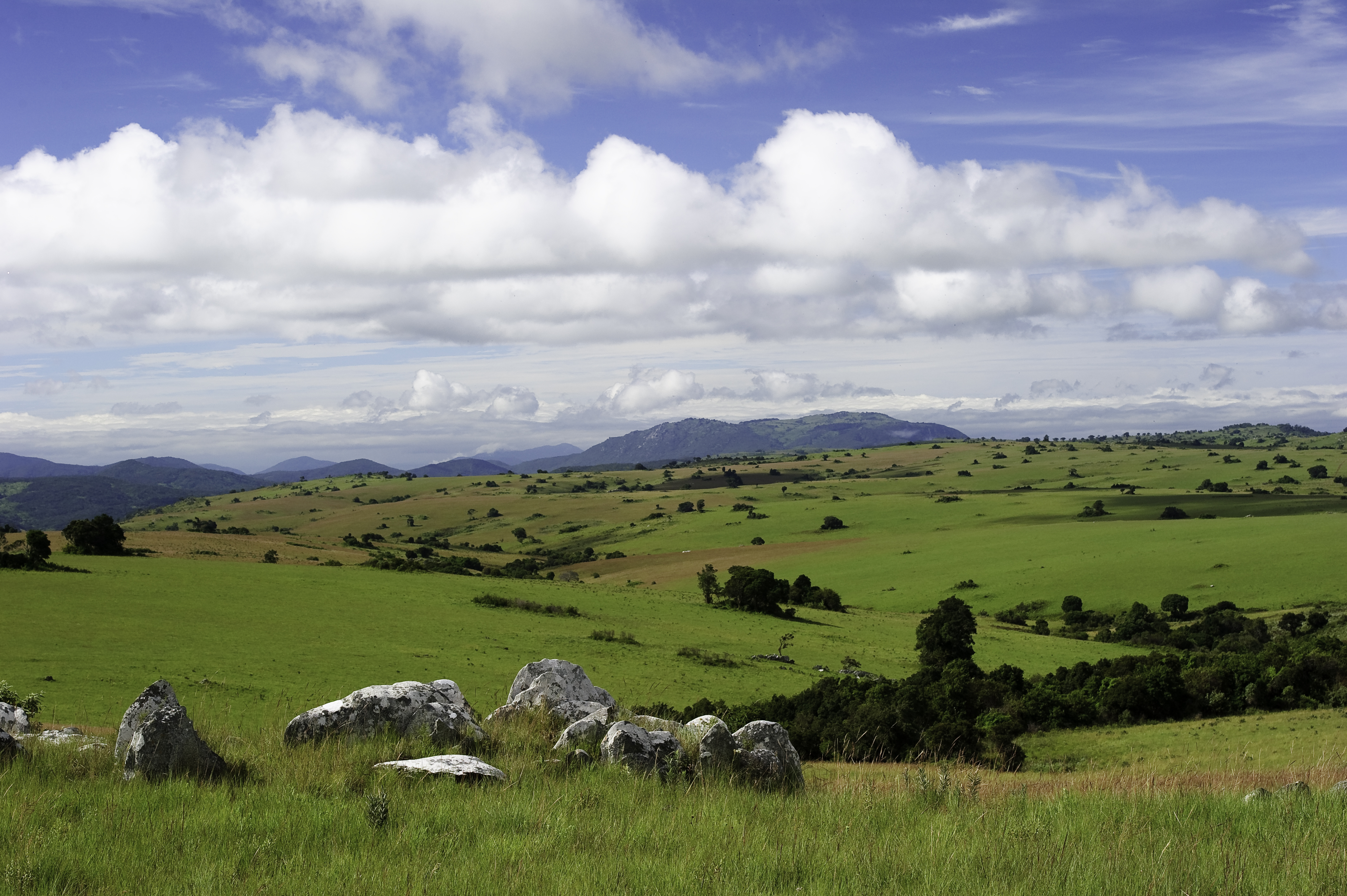 Nyika Landscape