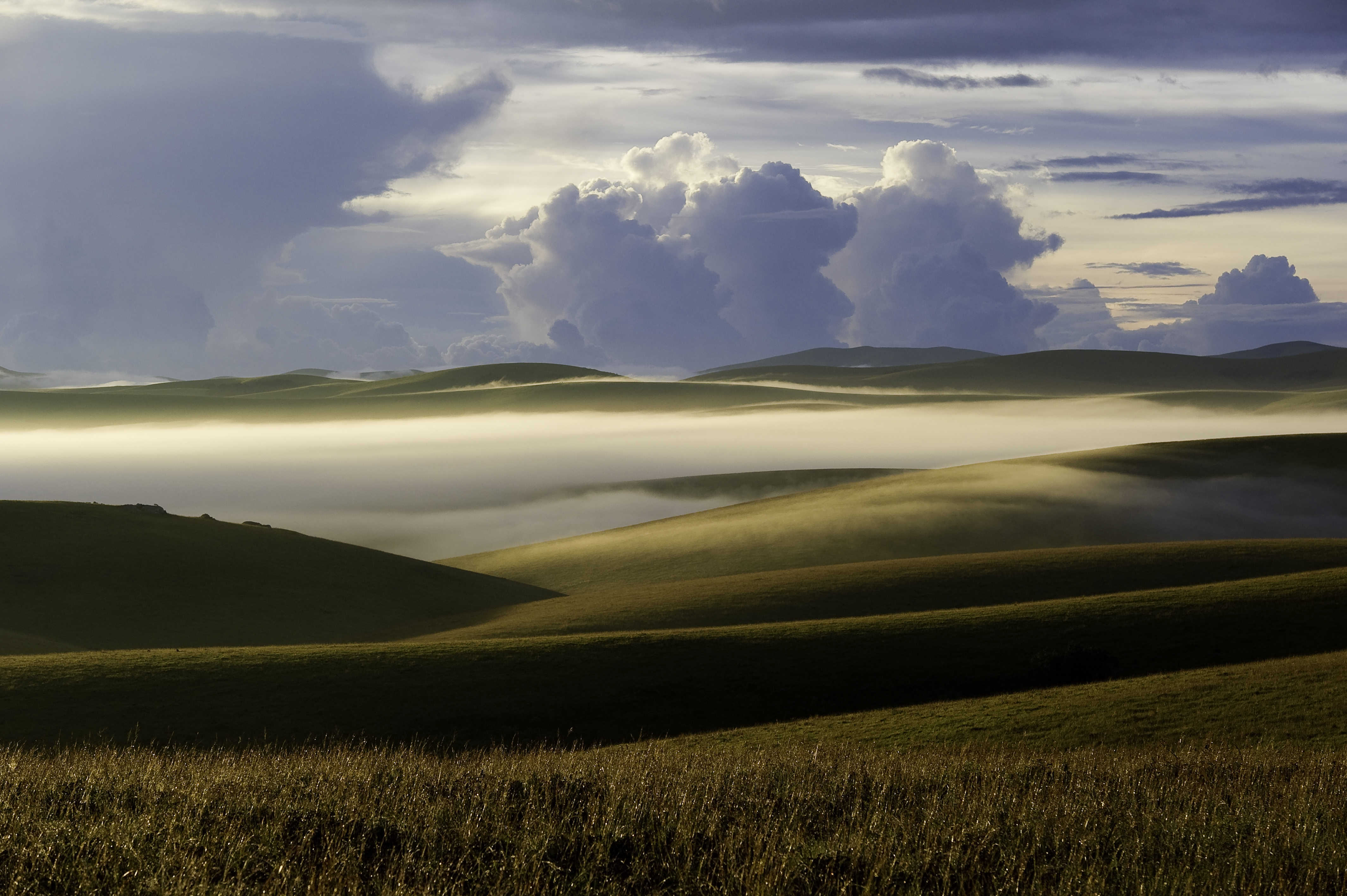 Nyika Landscape