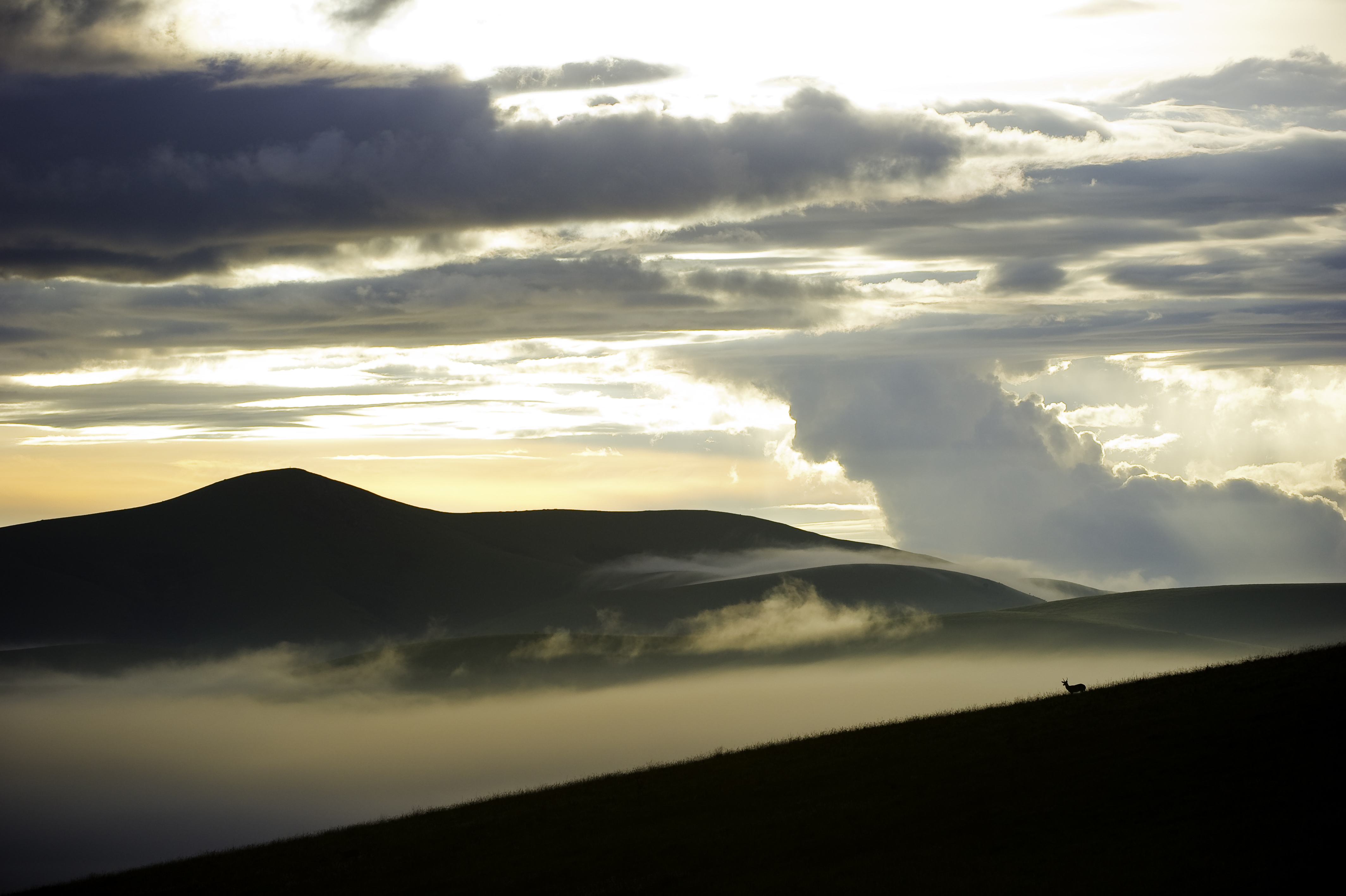 Nyika Landscape