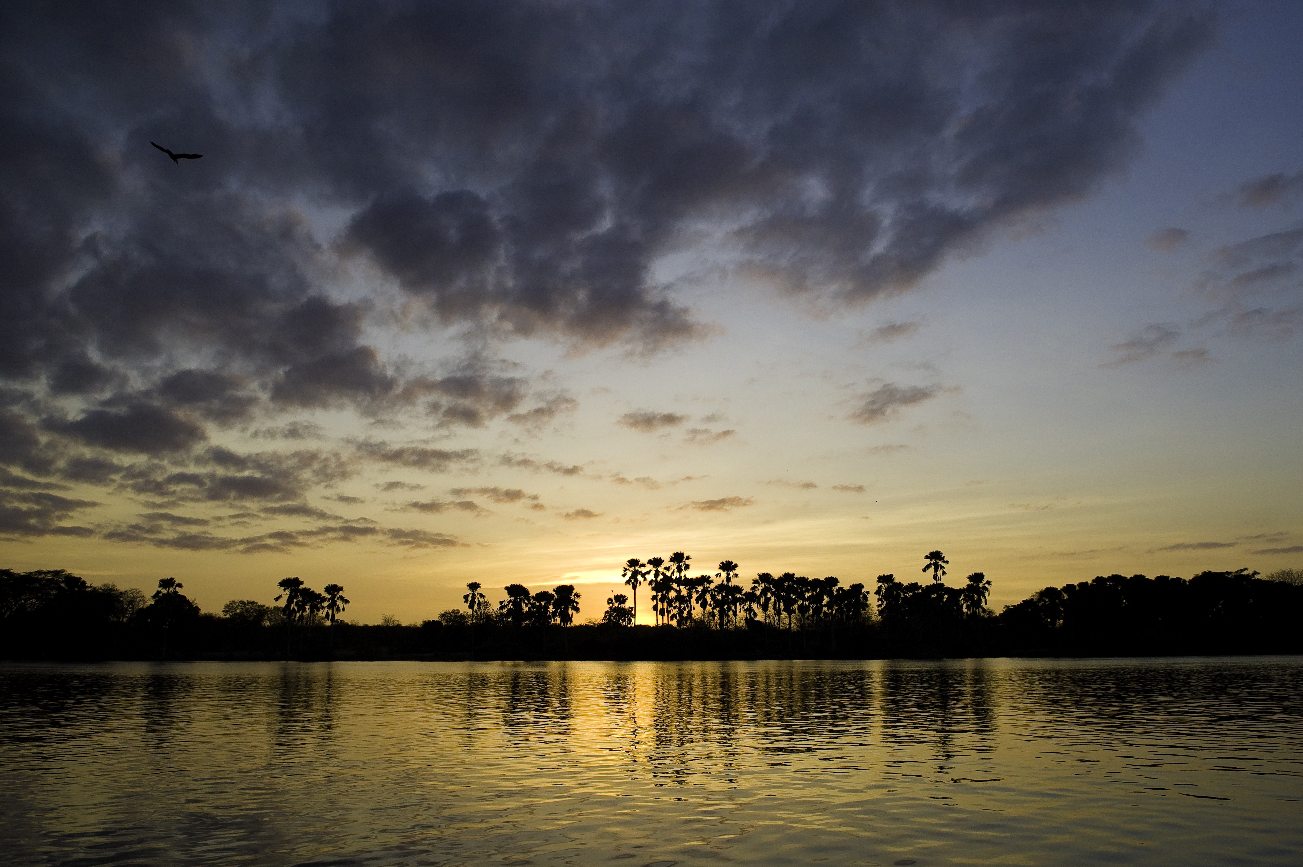 Sunset Over Shire River