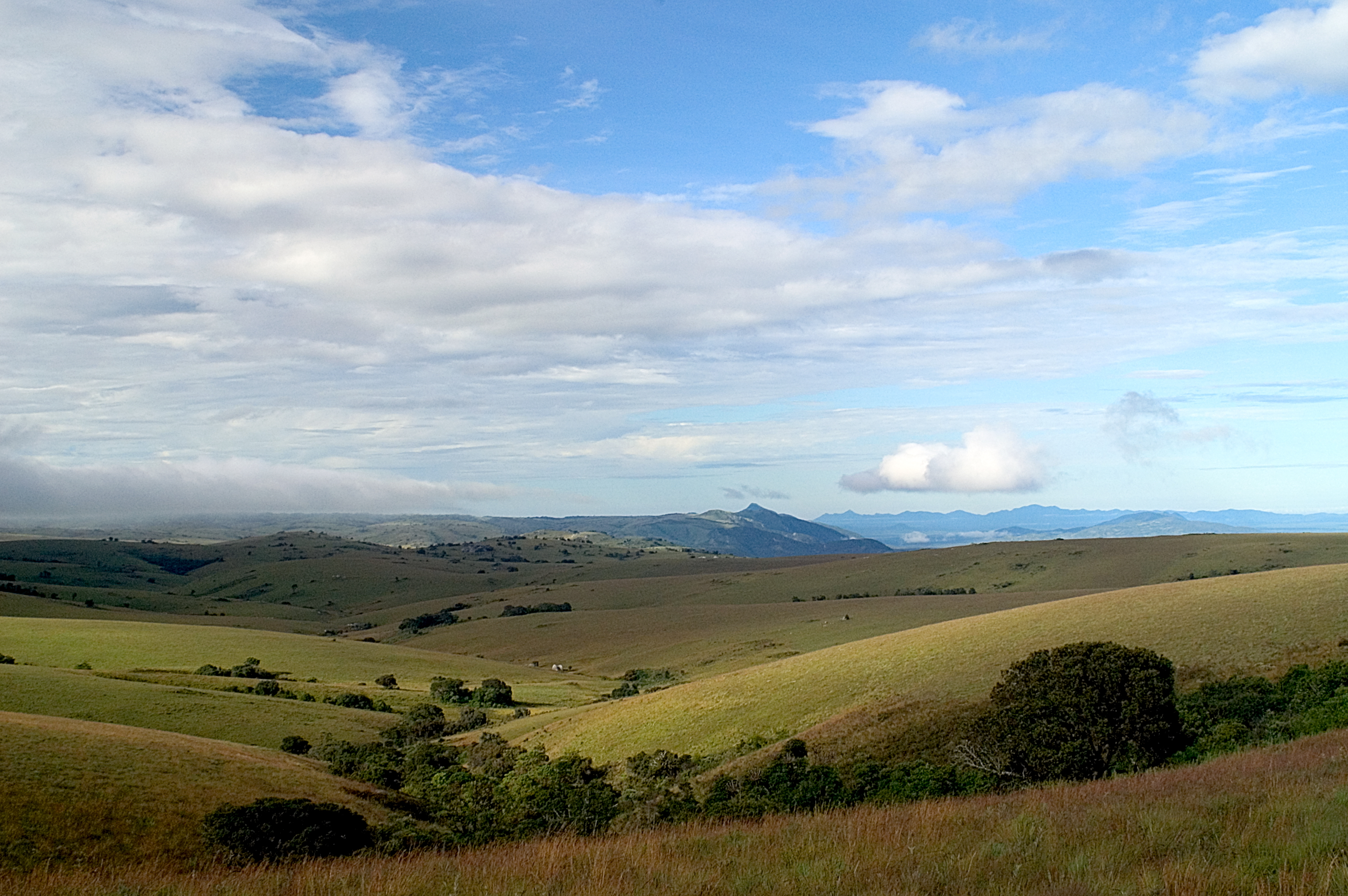 Nyika Landscape