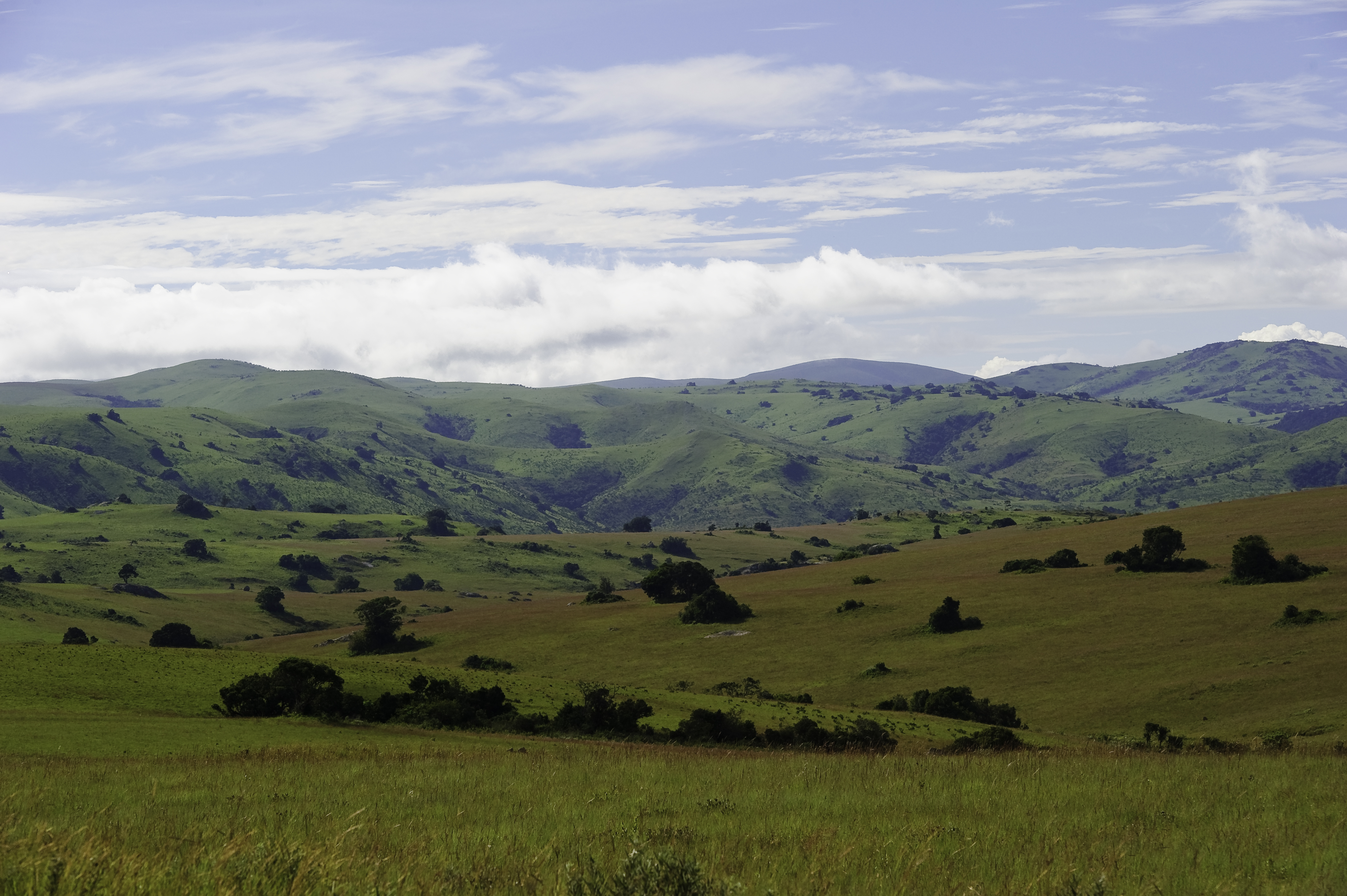 Nyika Landscape