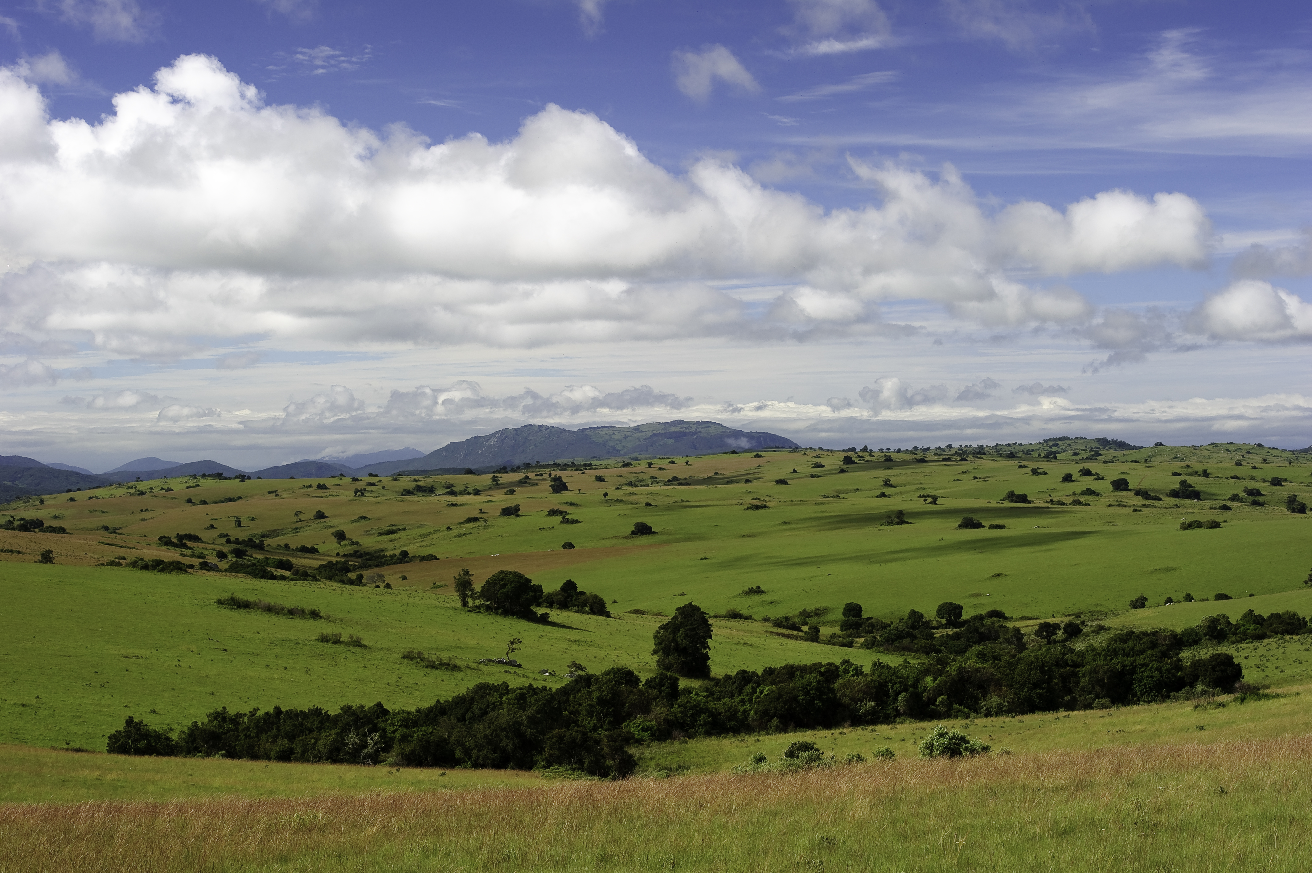 Nyika Landscape