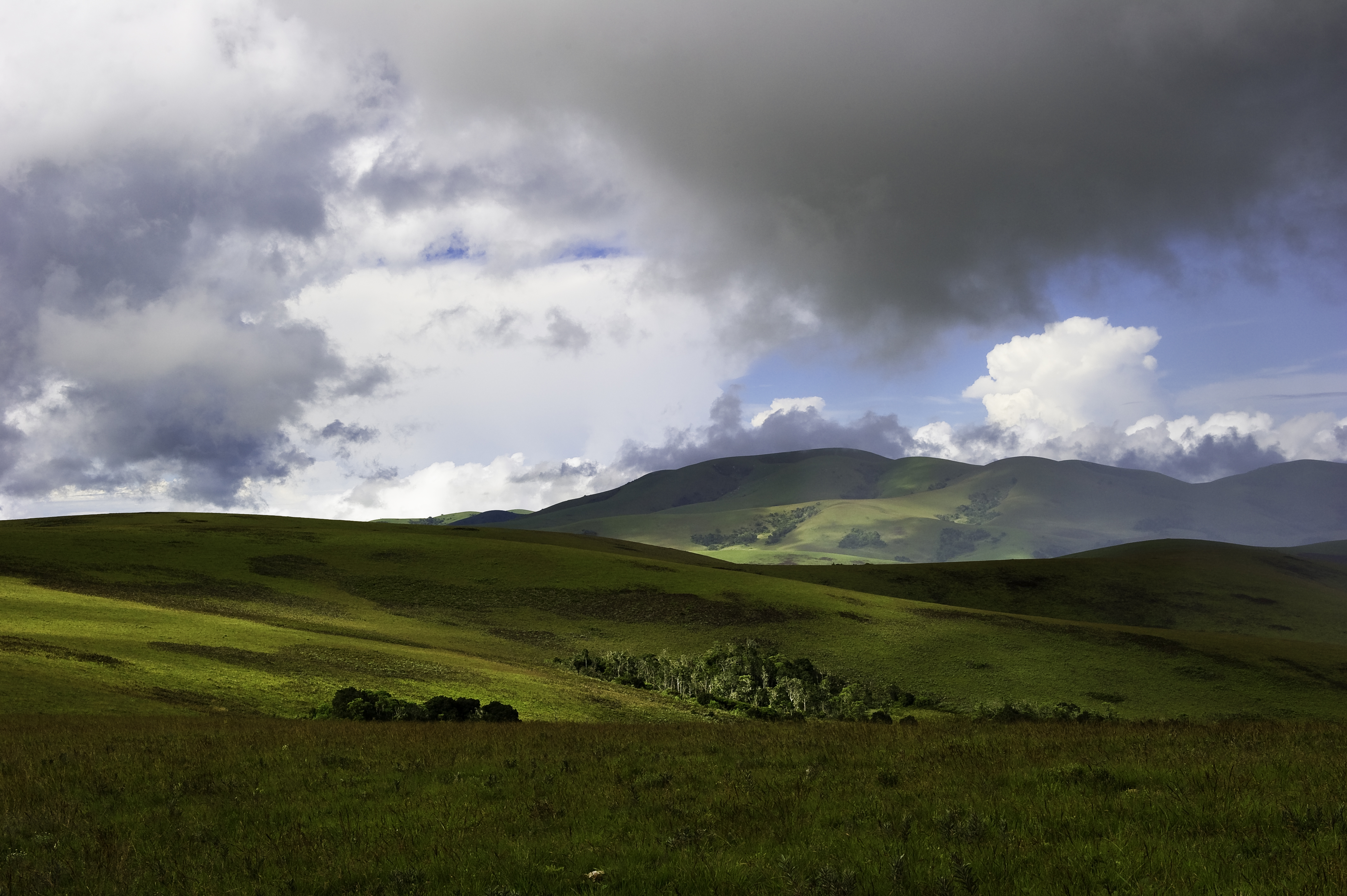Nyika Landscape