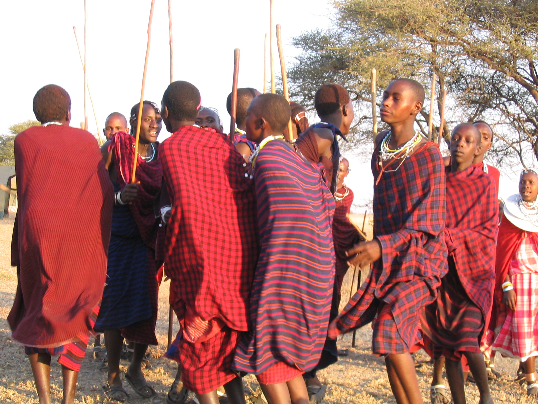 Local Masai Warriors (Moran) Dancing