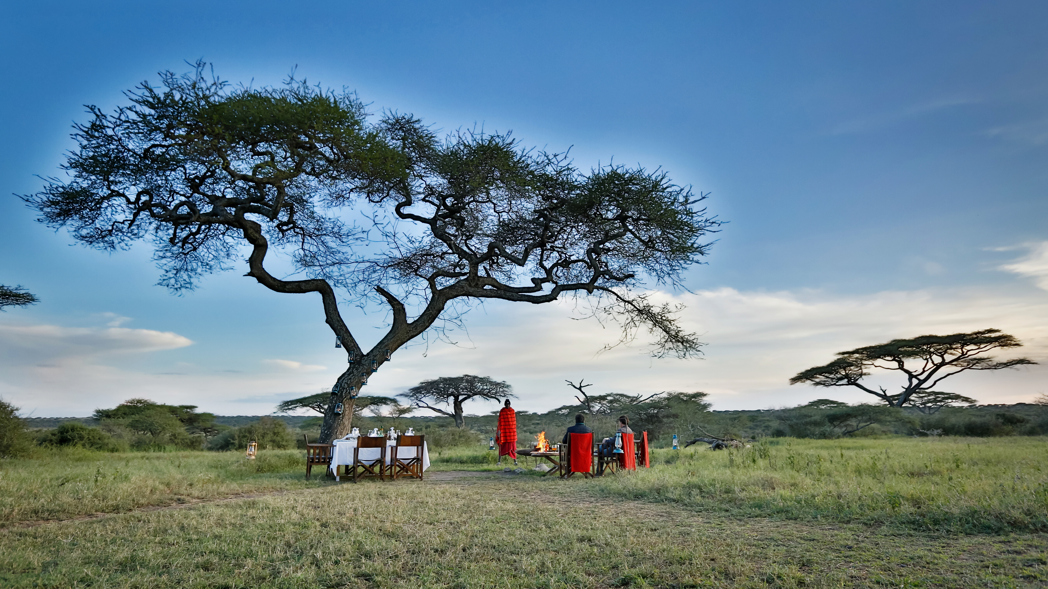 Enjoy a bush dinner under the skies, privately hosted affording you a truly unique eating experience under the skies