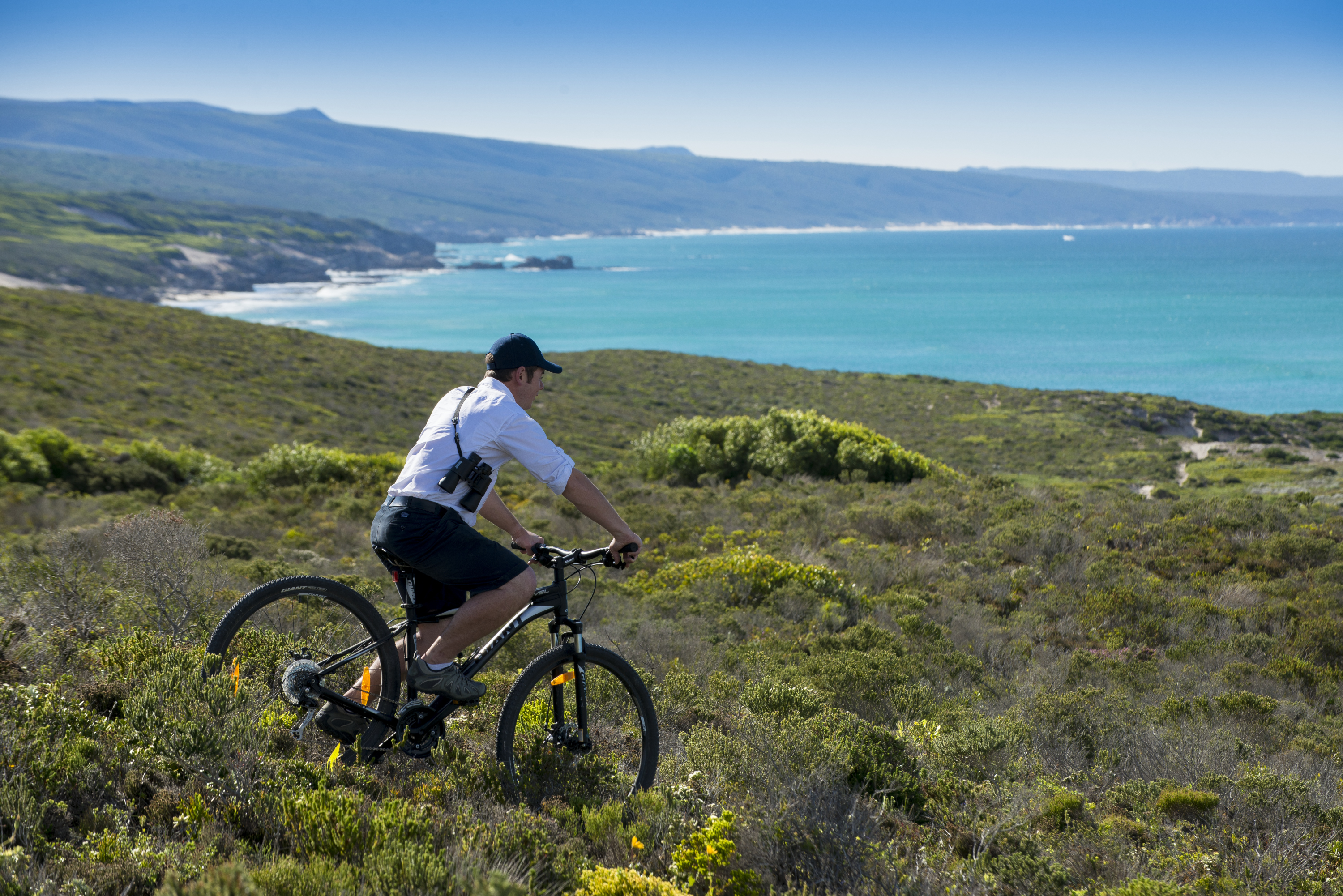 Riding through the fynbos