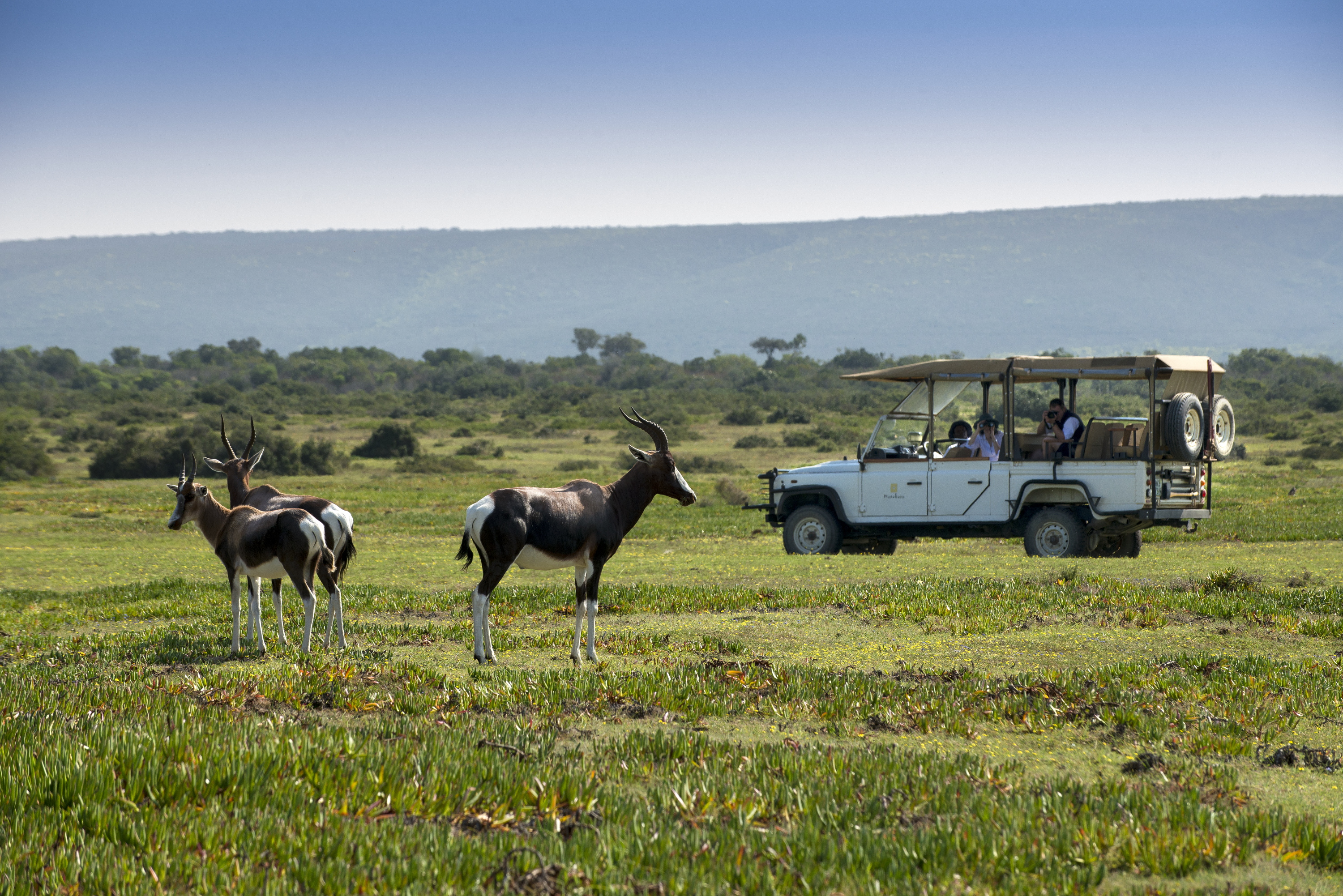 Explore De Hoop Nature Reserve by open 4x4