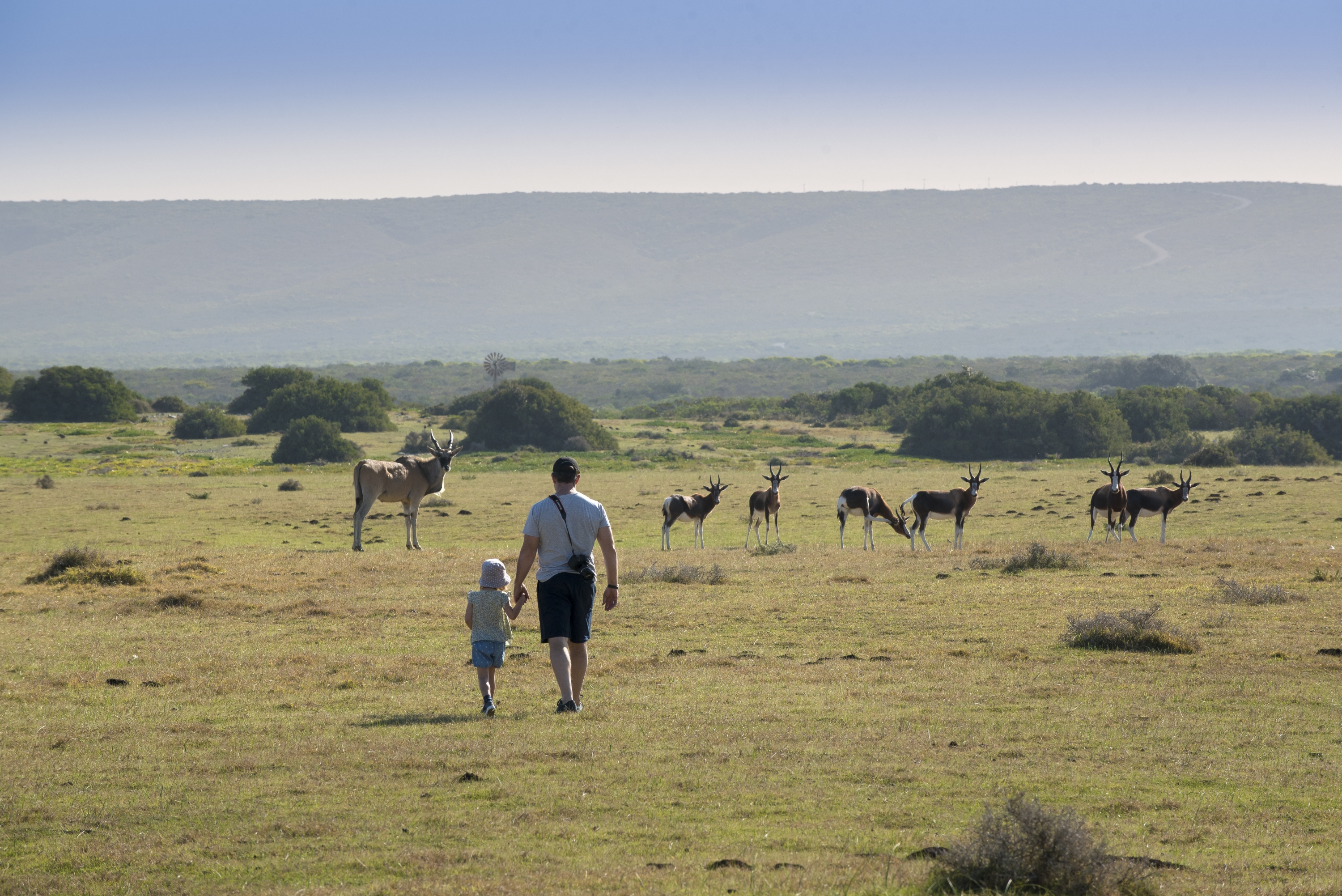 Explore De Hoop Nature Reserve on foot