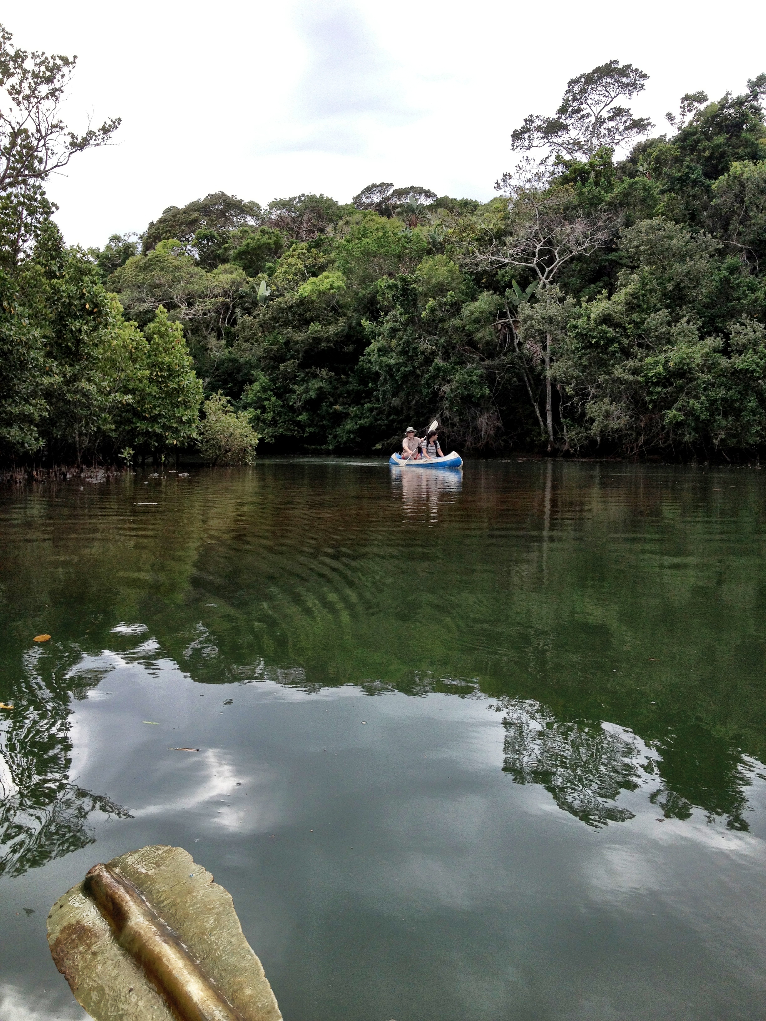 Various scheduled hikes done by guides from the local community