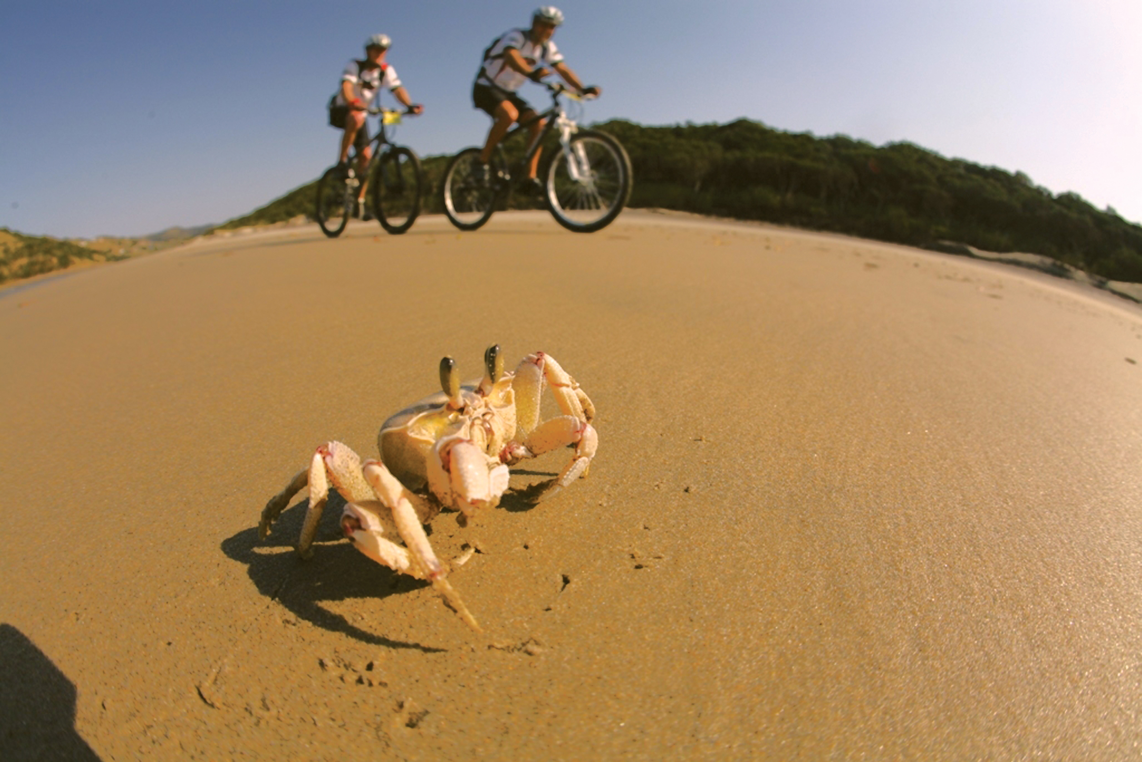 Umngazi hosts an annual cycle MTB race in June called the Pondo Pedal. The race caters for a variety of intermediate and advanced biking appetites, from nature lovers, to adventure seekers and racing snakes. The route takes cyclists along a diverse route that includes district roads, swamp trails and cattle paths, where teams are often cheered on by the local Umngazi community. .