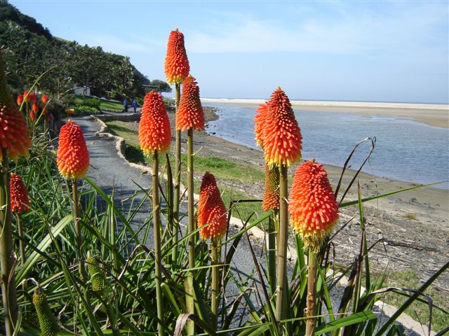 Walking to the river mouth (Emlonyeni) bungalows