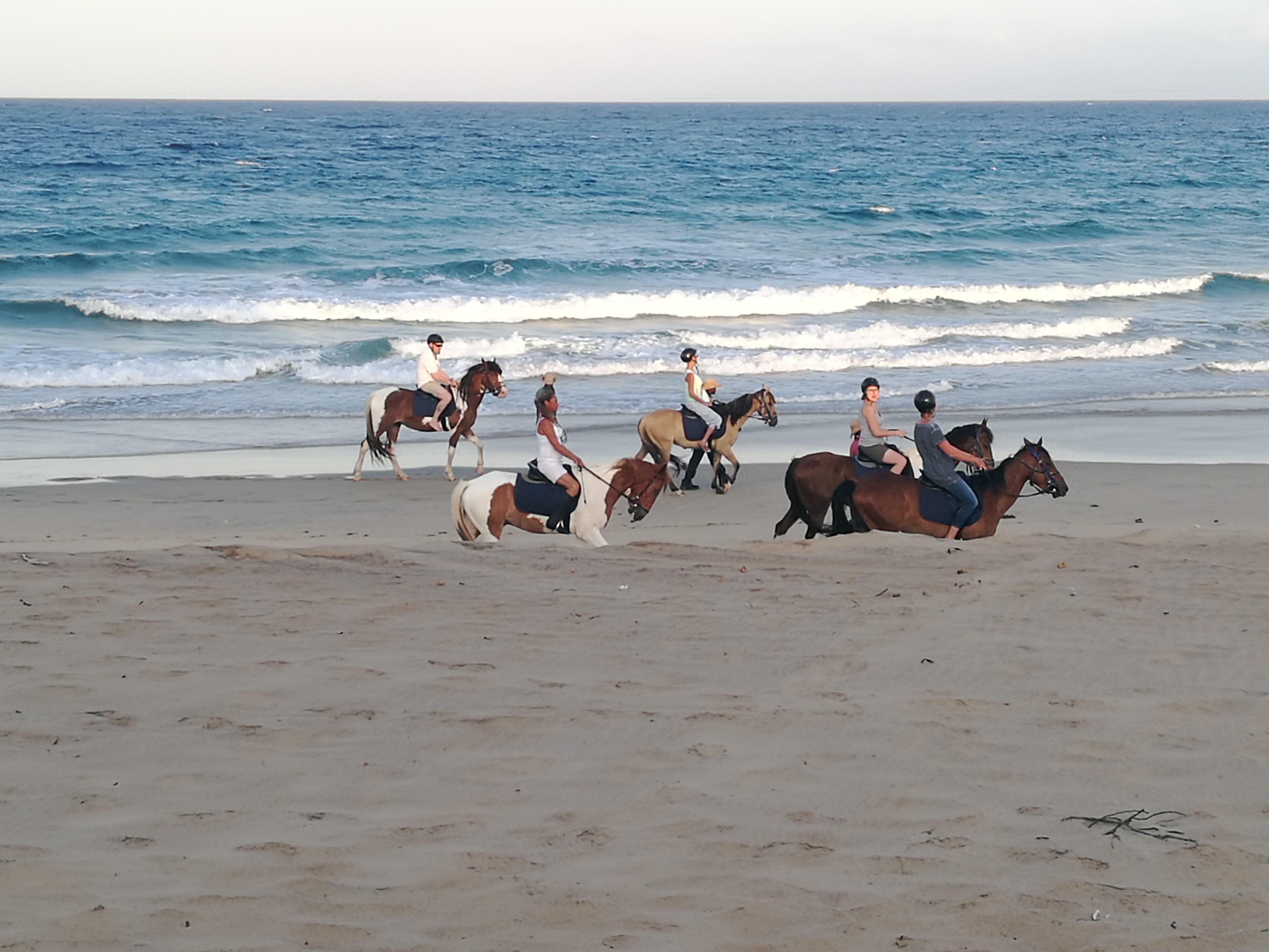 Horse Riding on the Beach