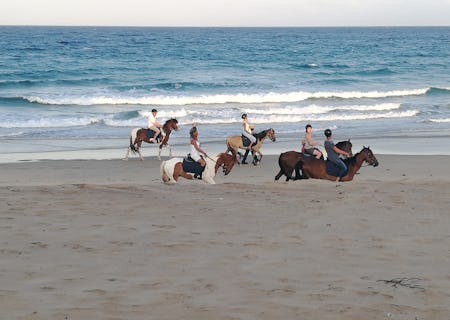 Horse Riding on the Beach