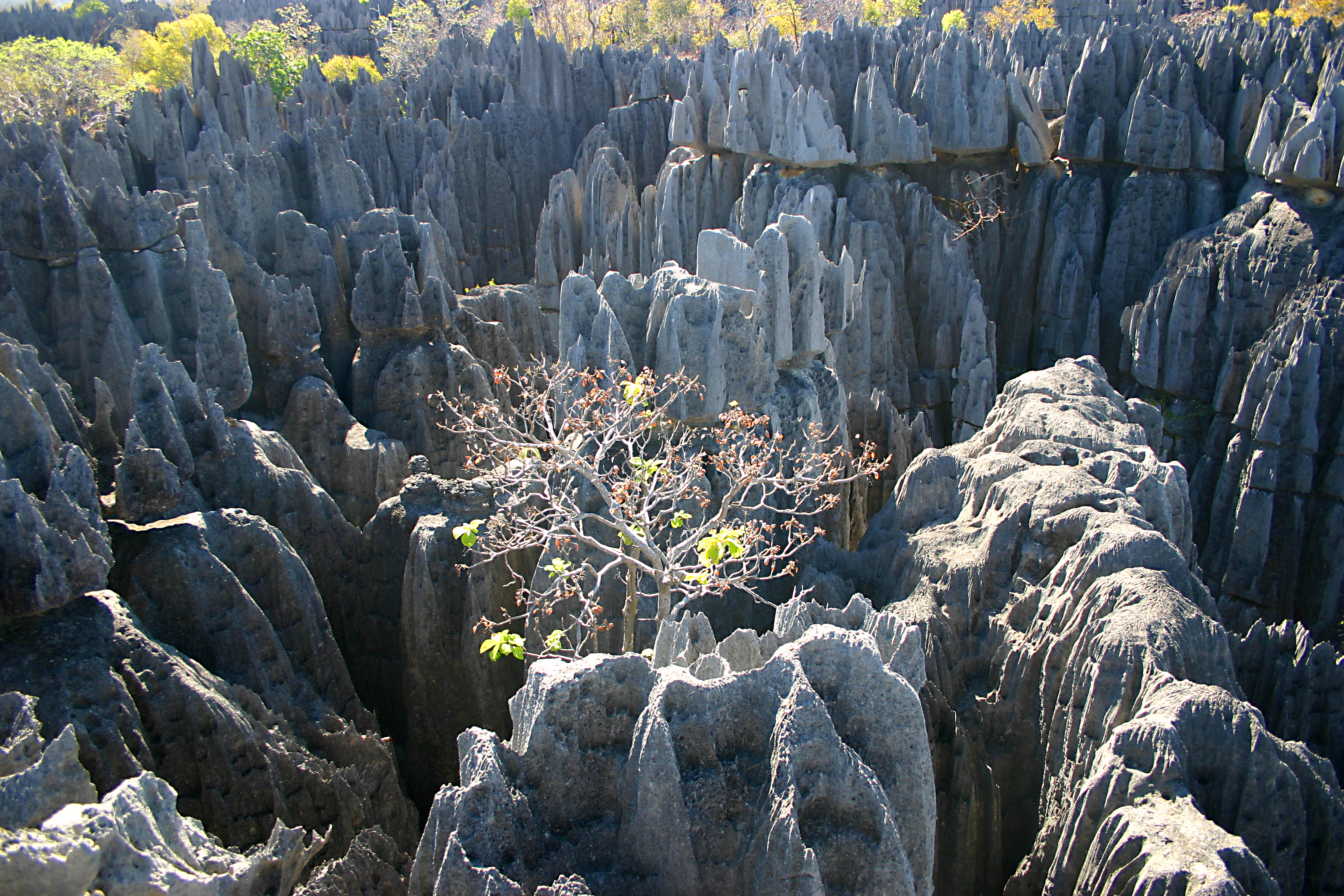 Le Grand Hotel du Tsingy de Bemaraha, Tsingy De Bemaraha | Timbuktu Travel
