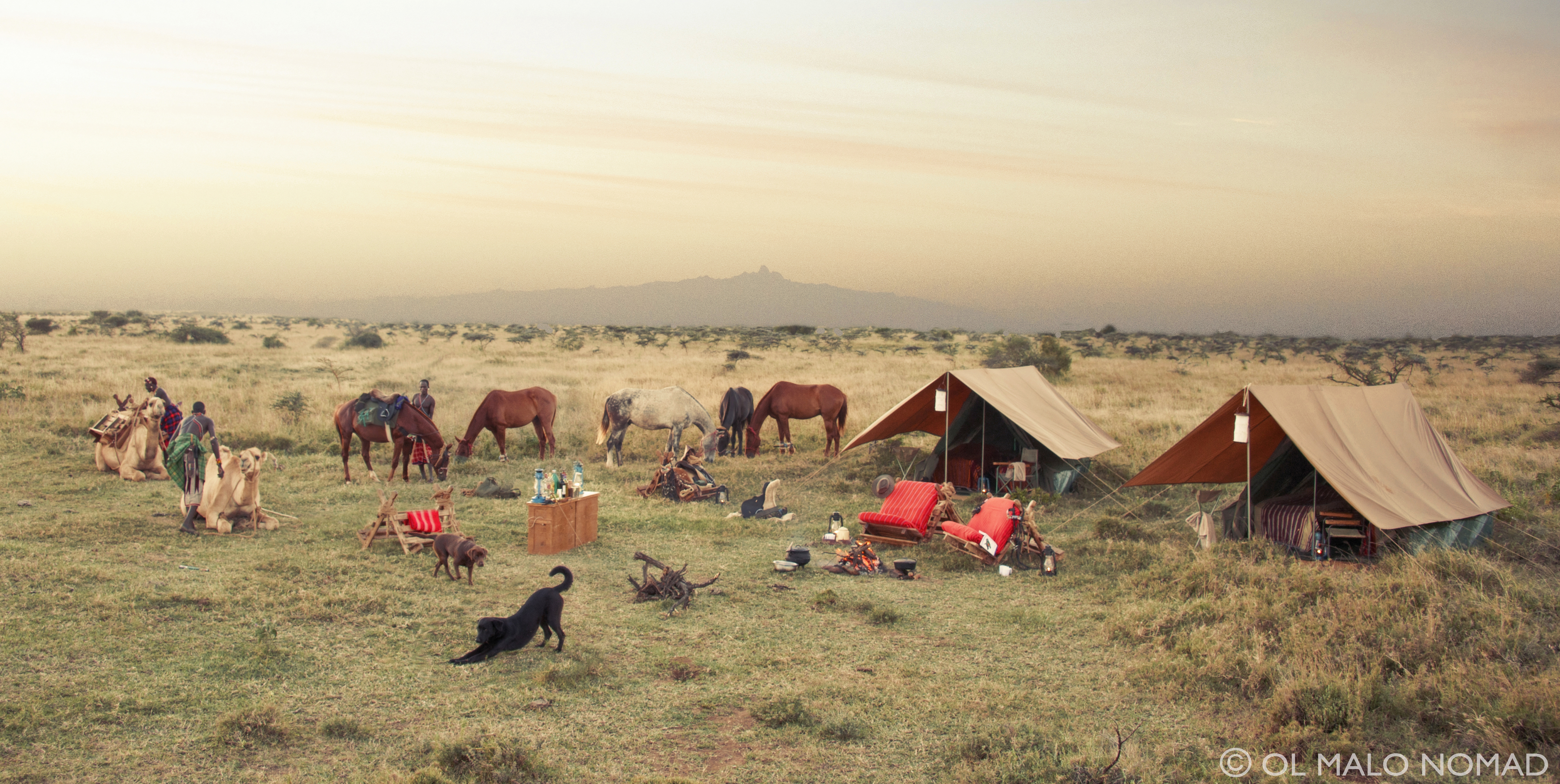 Ol Malo Nomad, Laikipia | Timbuktu Travel