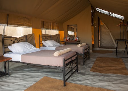 View from inside the tent