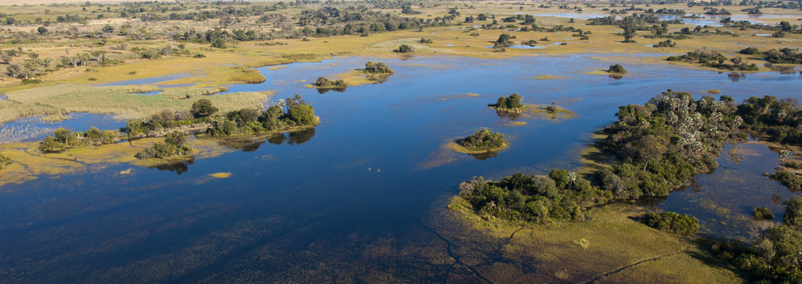 Endeavour Mobile Delta Safaris, Central Okavango | Timbuktu Travel
