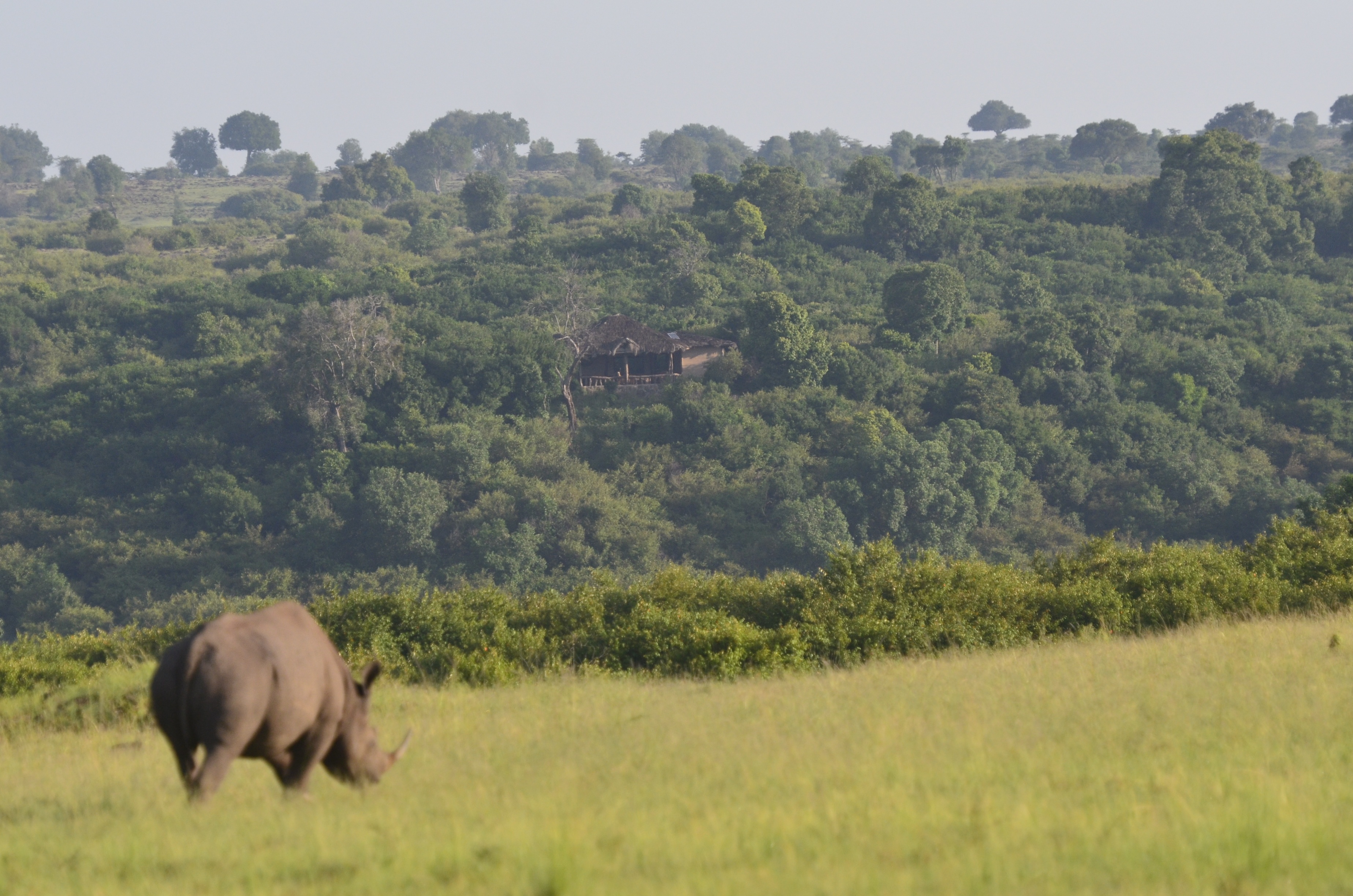 Looking back to camp