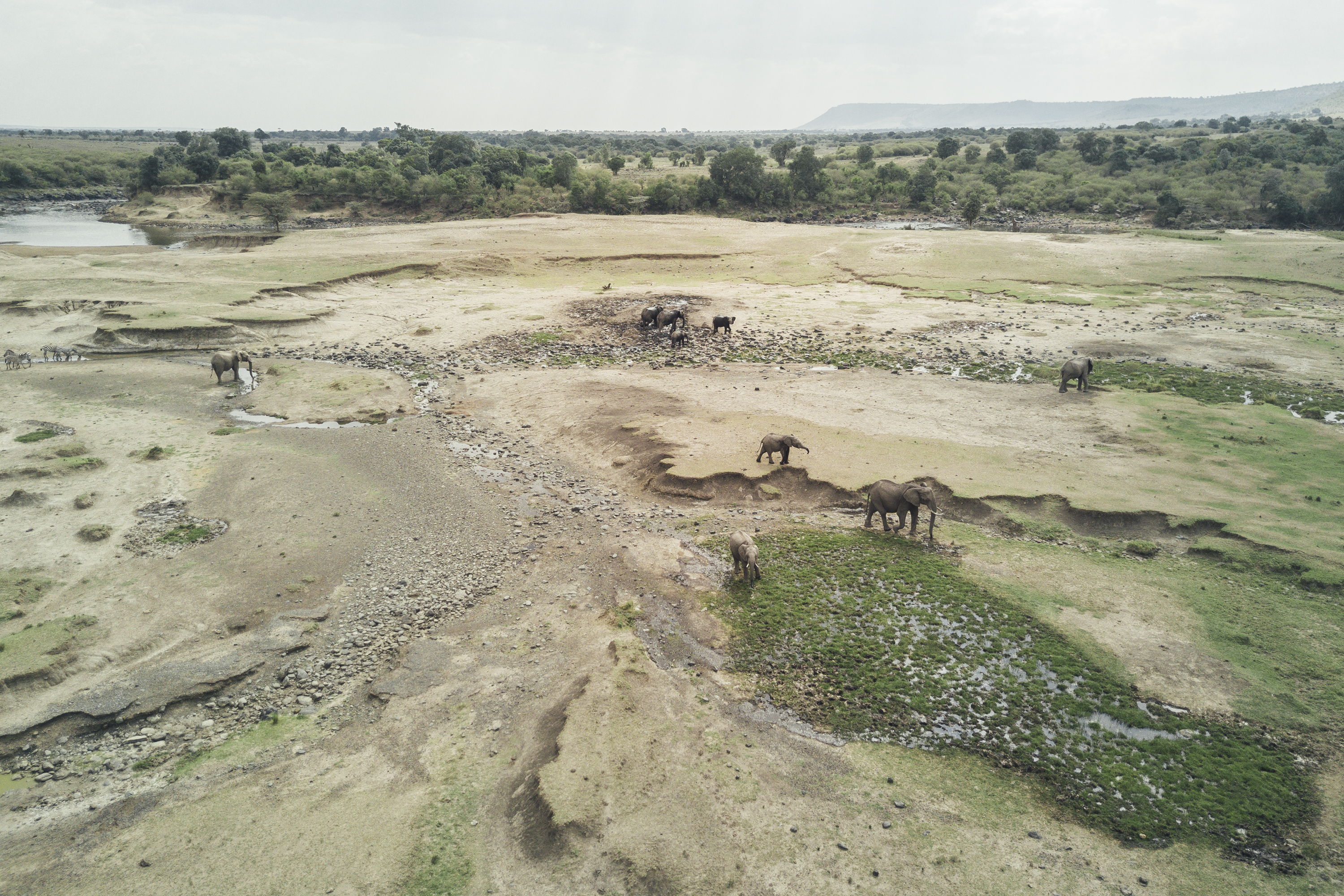Overlooking the salt lick from the mess area