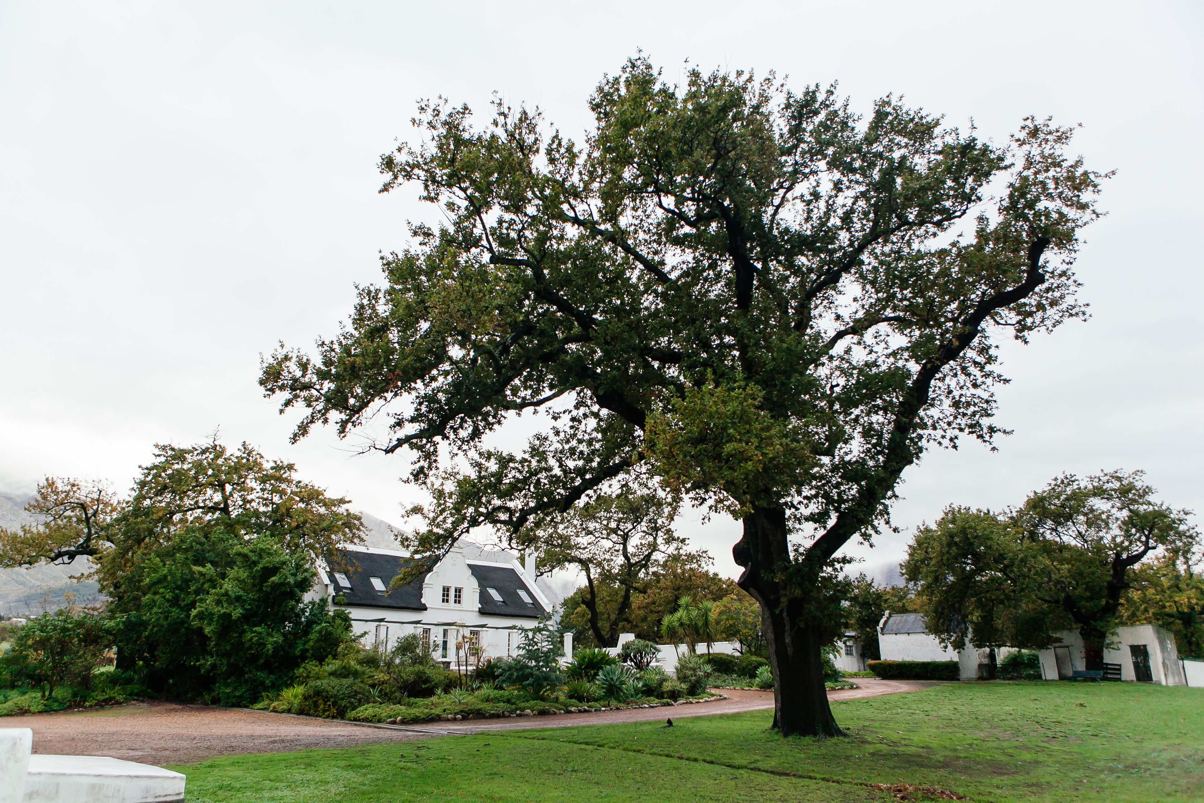 Gardens at the back of the Manor house