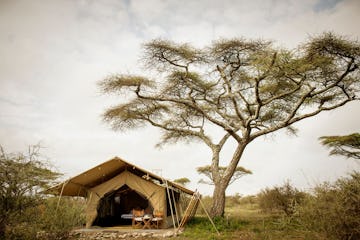 2018 01 Serengeti Safari Camo  Tanzania   3