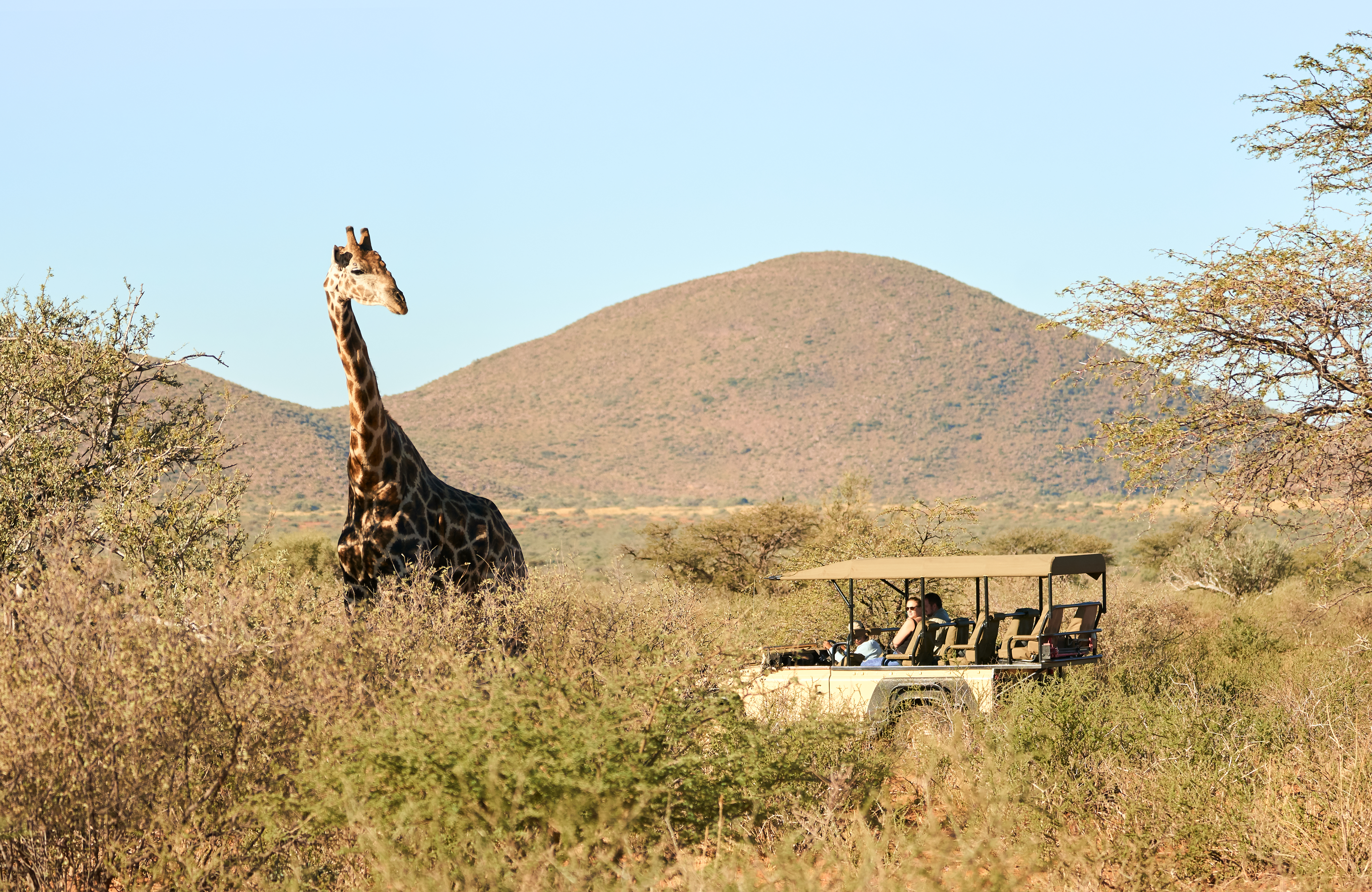 Tailor made safaris 