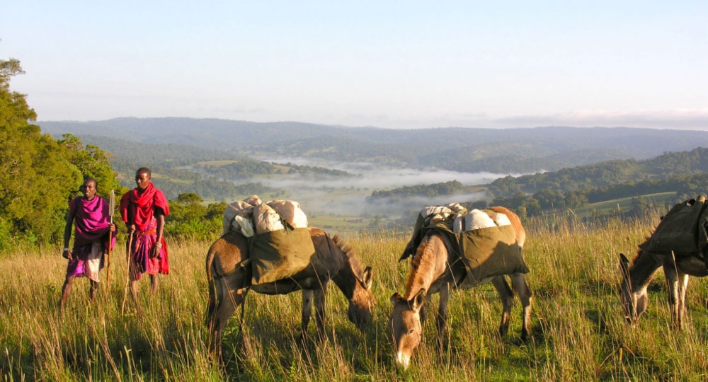 Oltyiani Trail, Masai Mara | Timbuktu Travel