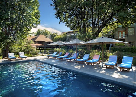 Larger lap pool with sun loungers and umbrellas
