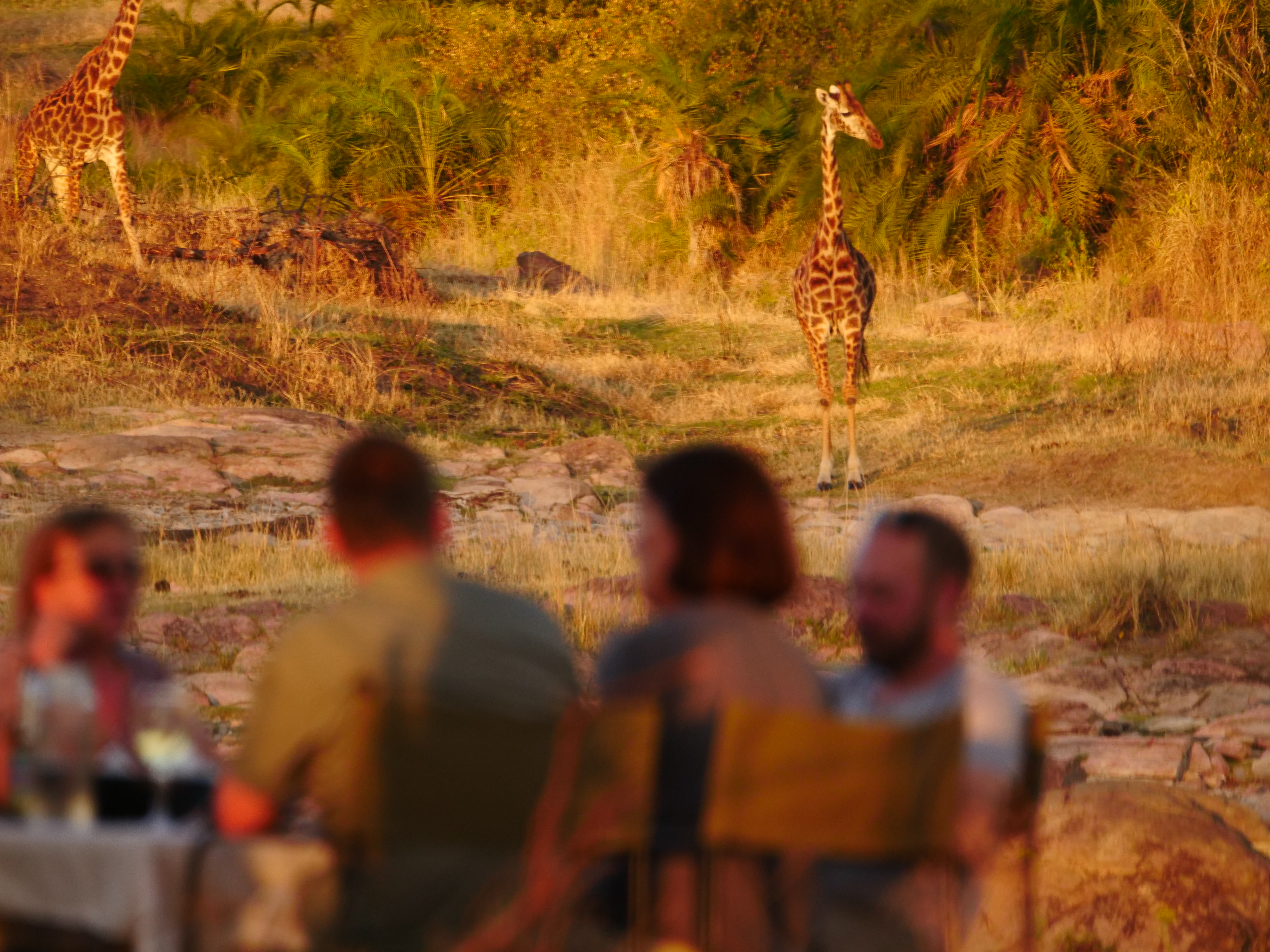 Wayo Walking Camp, Serengeti | Timbuktu Travel