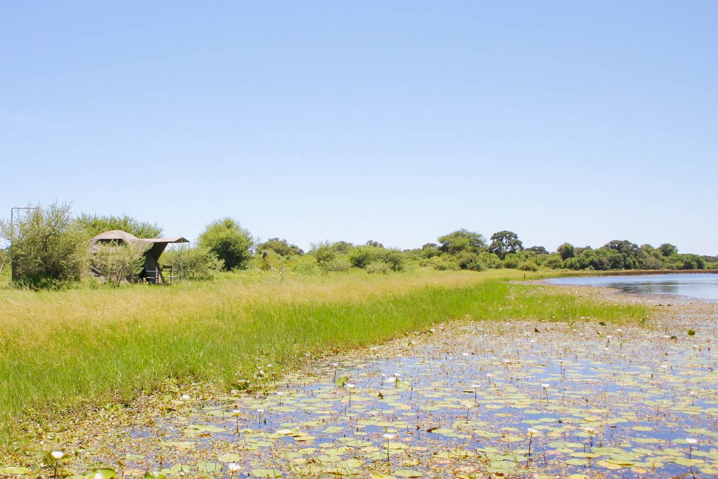 Bush Ways Chobe Camp, Chobe | Timbuktu Travel