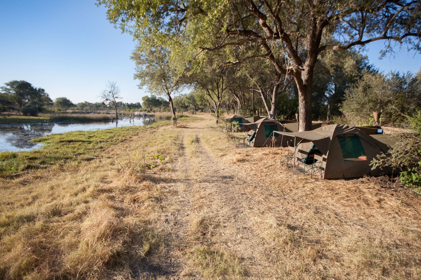 Bush Ways Savute Camp, Savuti | Timbuktu Travel