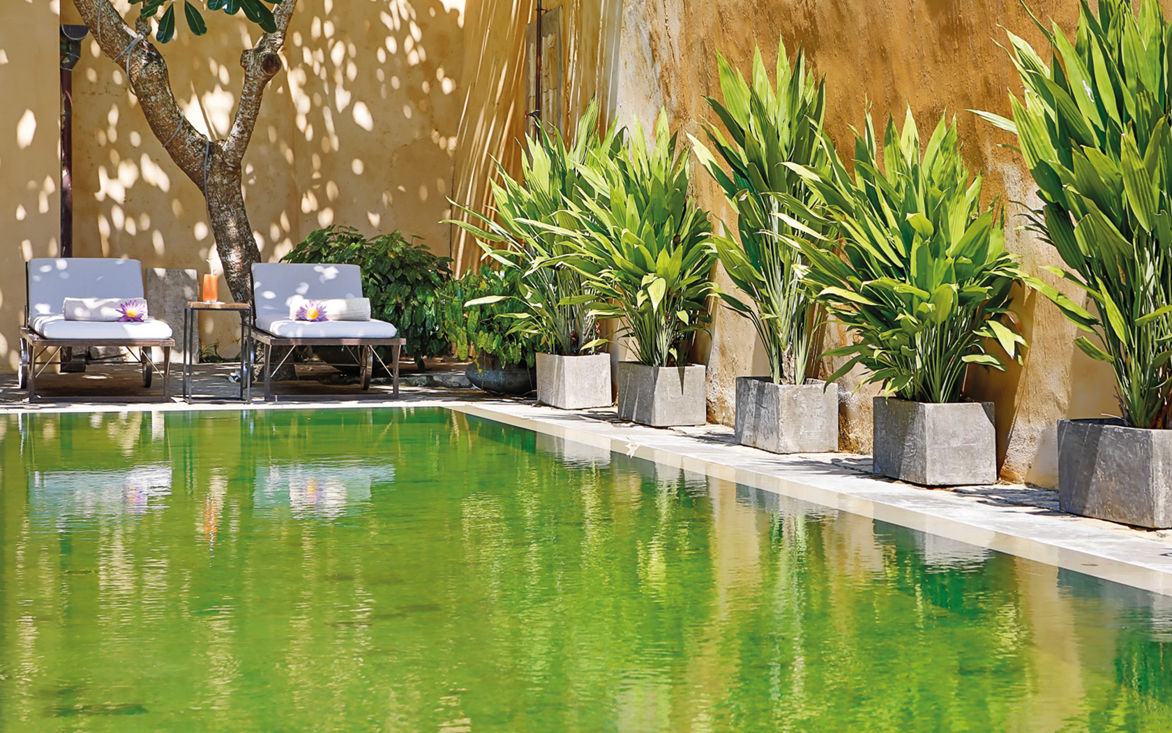 The Fort Printers, Galle | Timbuktu Travel