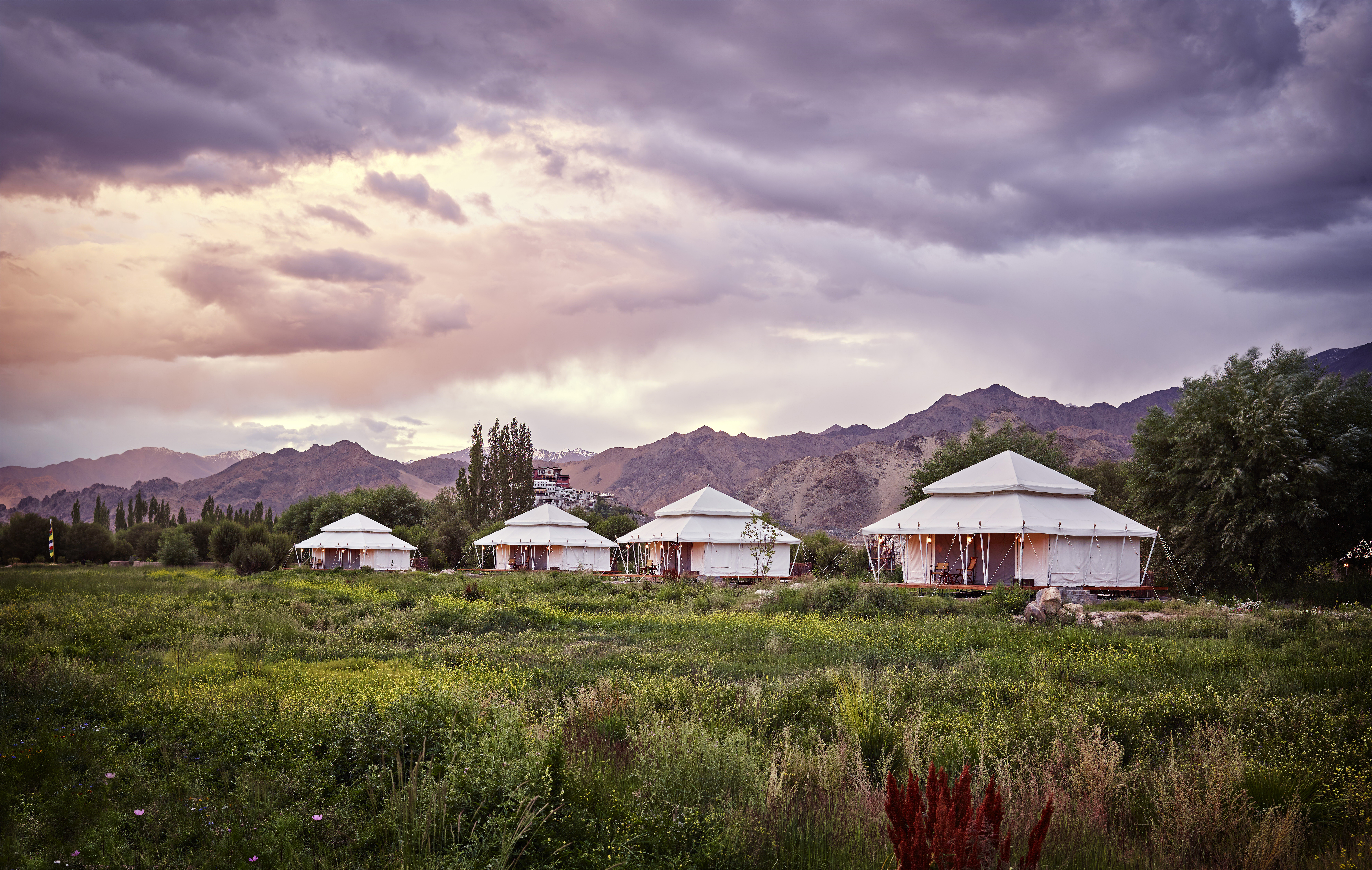 Chamba Camp Thiksey, Ladakh | Timbuktu Travel