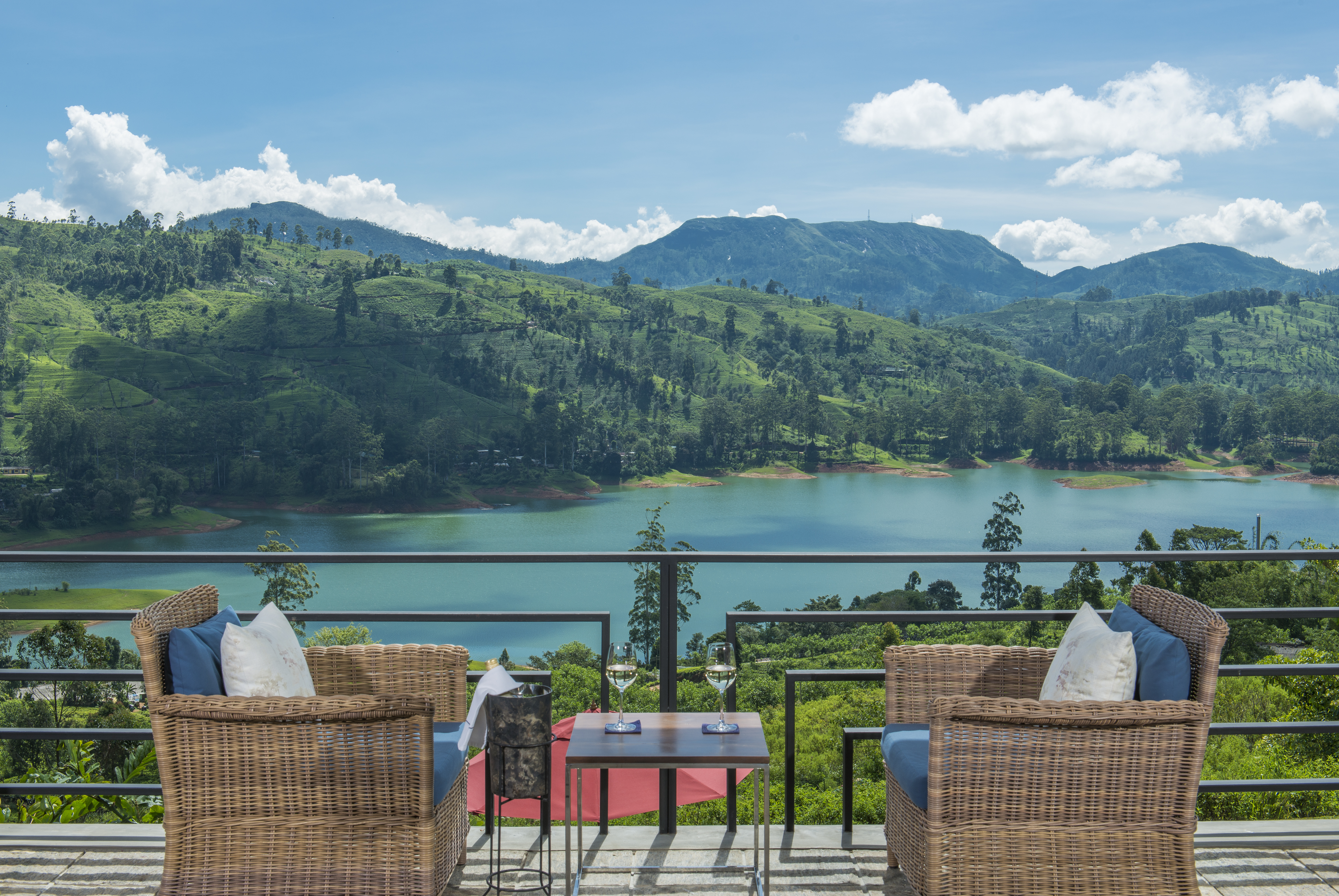 Camellia Hills, Hatton | Timbuktu Travel