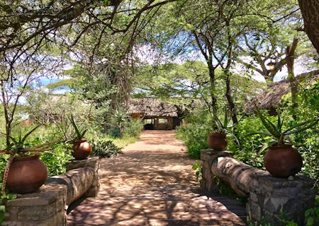Ndutu Safari lodge is located in the Ngorongoro Conservation Area on the edge of the Southern Serengeti plains filled with acacia trees and wide views across Lake Ndutu. Our Lodge comprises thirty four comfortable stone and thatch en-suite cottages beside a relaxed convivial dining, sitting and bar area all overlooking the ever-changing view of Lake Ndutu.