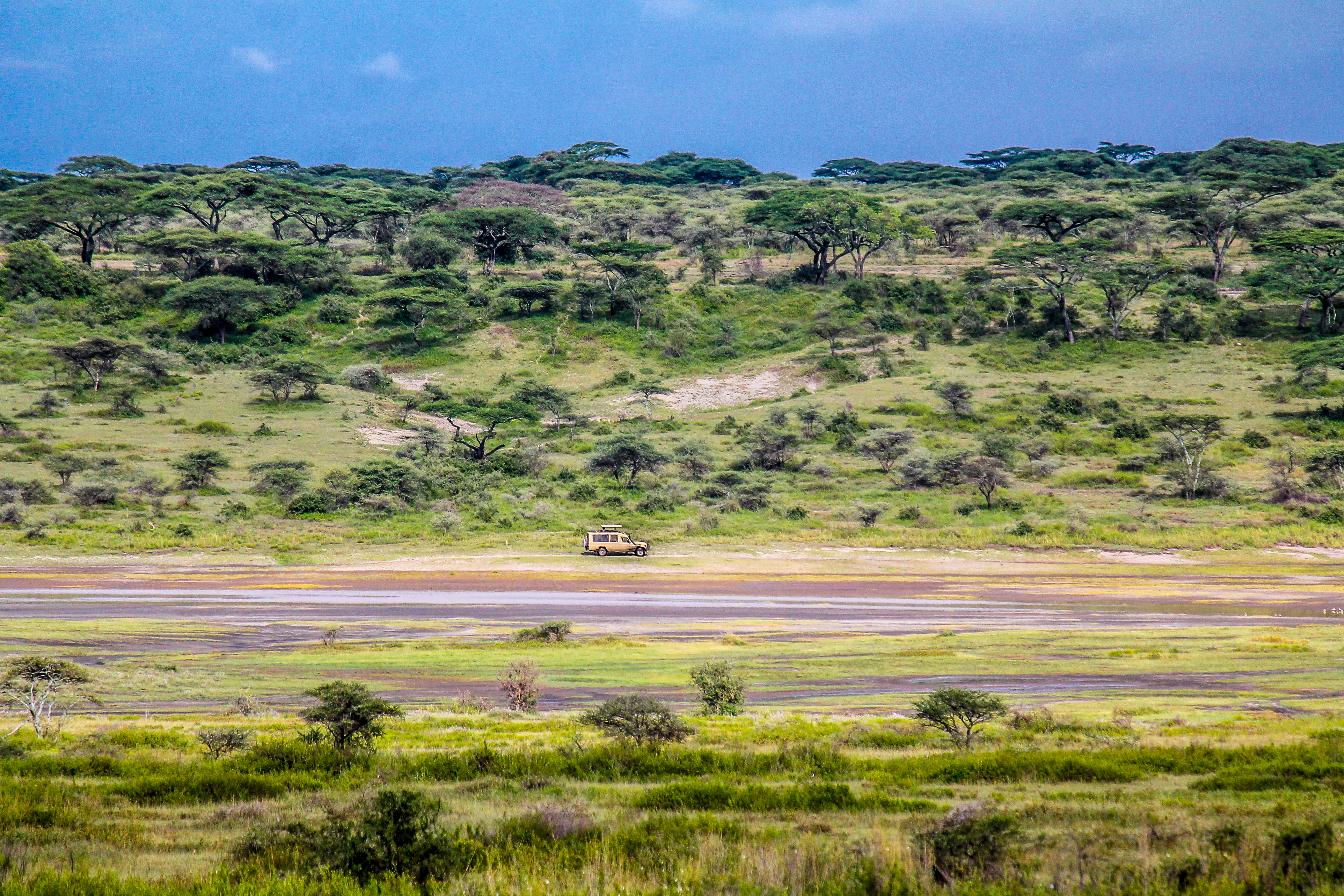 A typical view of the Ndutu landscape - perfect for viewing the full range of wildlife available