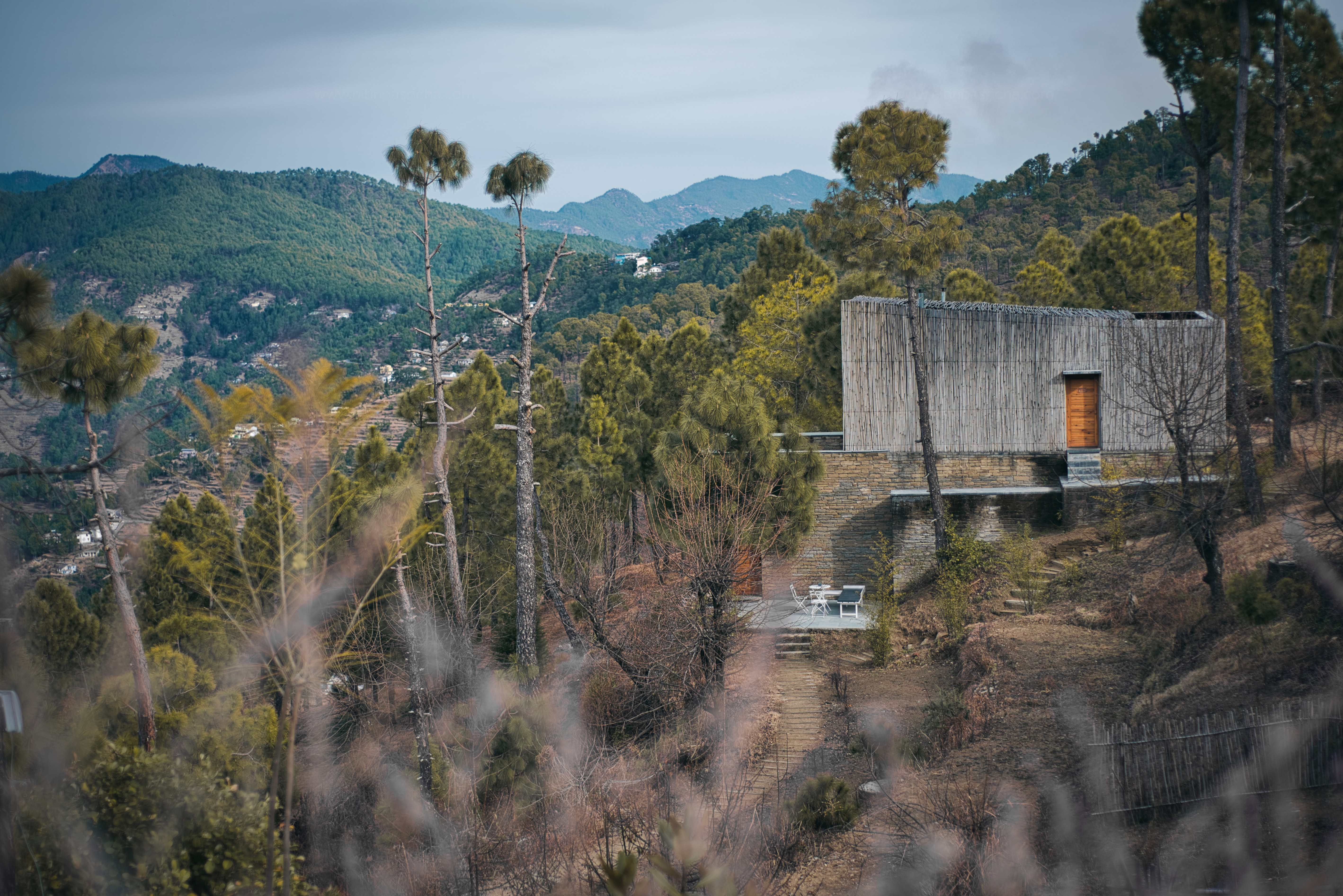 Photo Credit: Nitin Pasricha