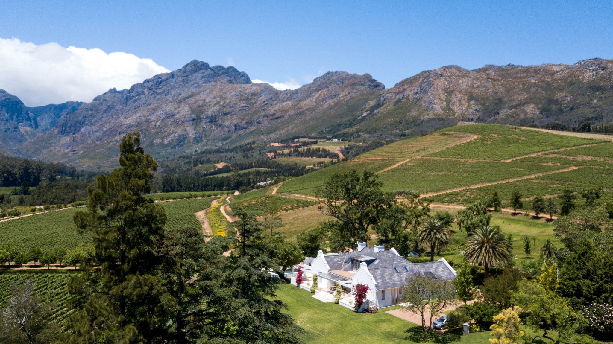 The Homestead at Oldenburg Vineyards, Stellenbosch | Timbuktu Travel