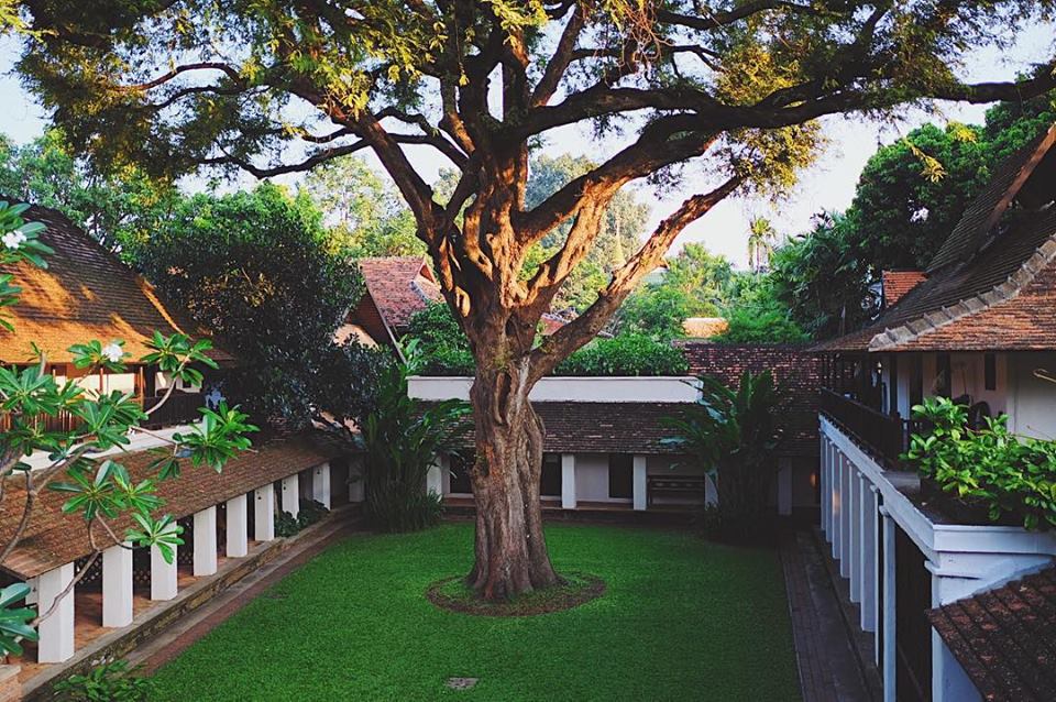 Tamarind Village, Chiang Mai | Timbuktu Travel