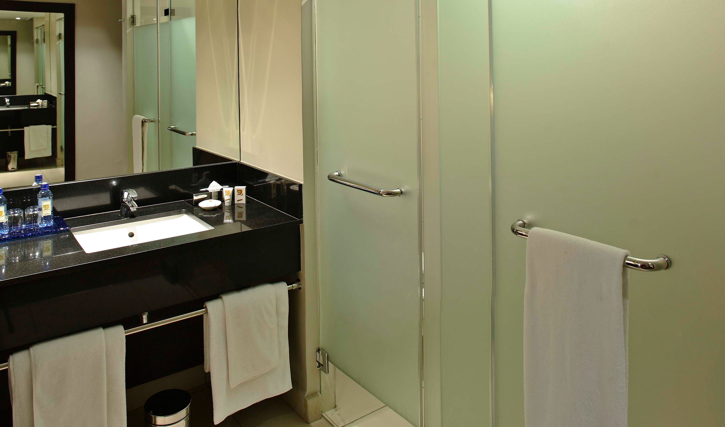 Guest room bathroom area