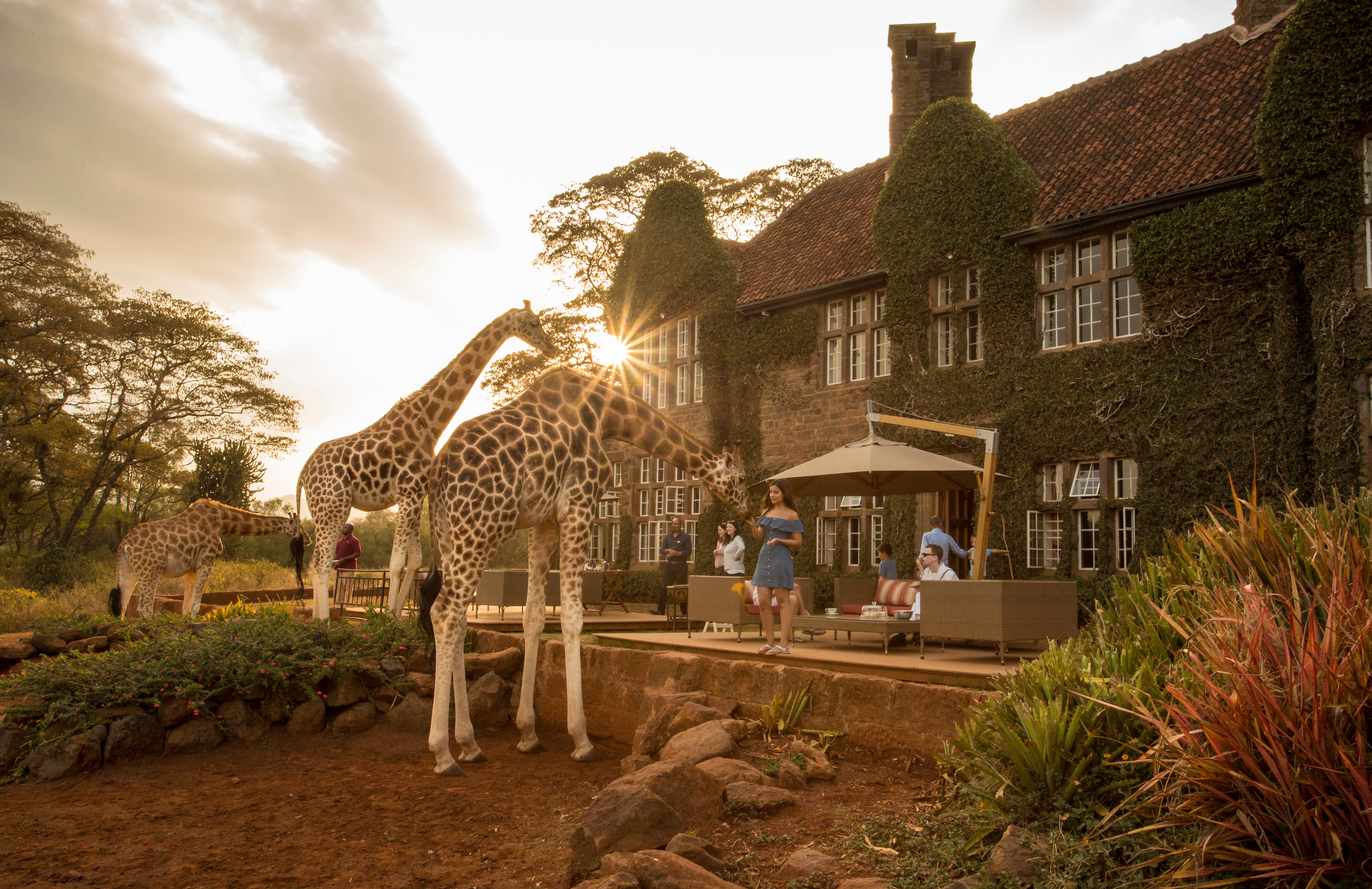 Giraffe Manor exterior 