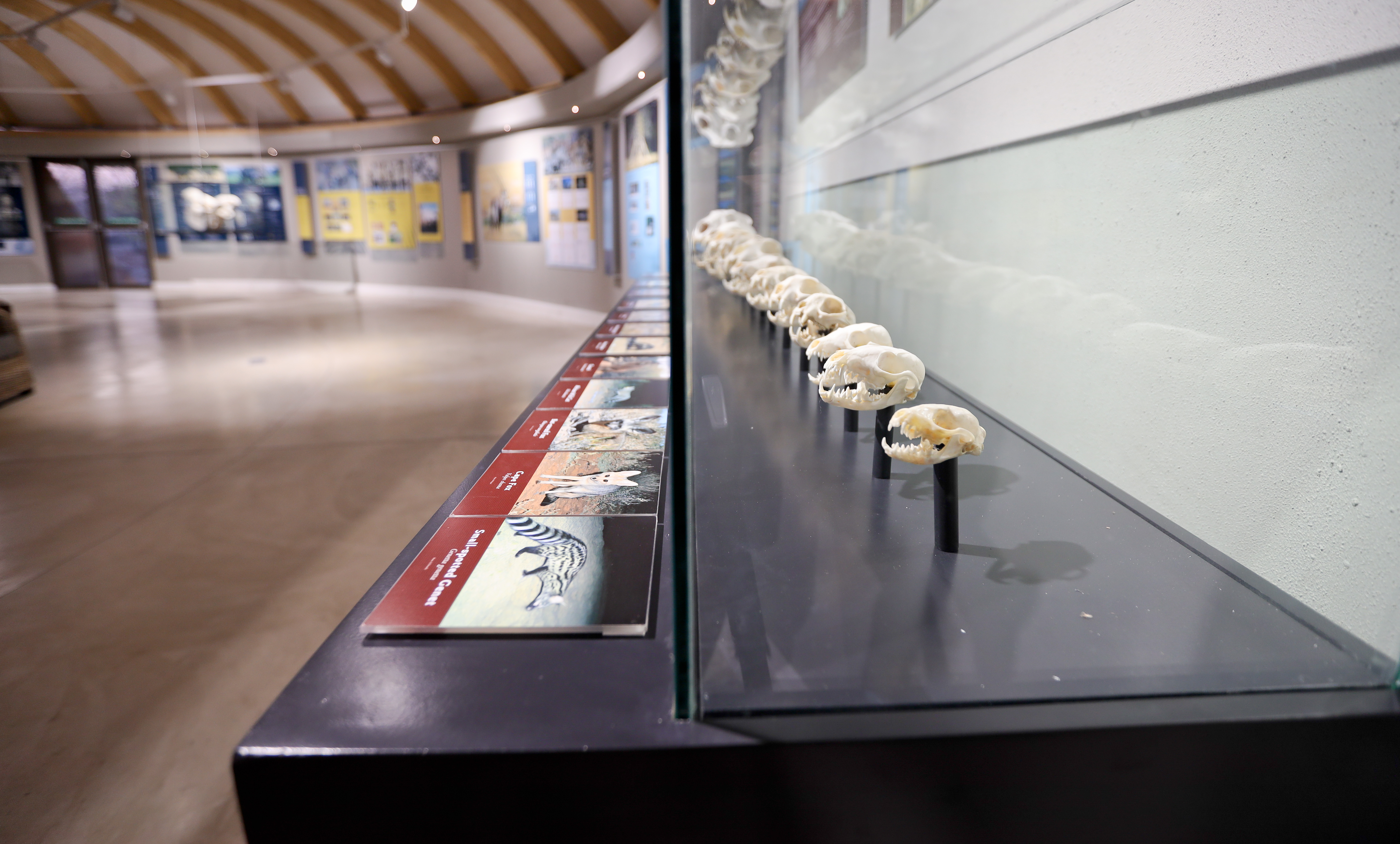 ORC Visitor Centre Display