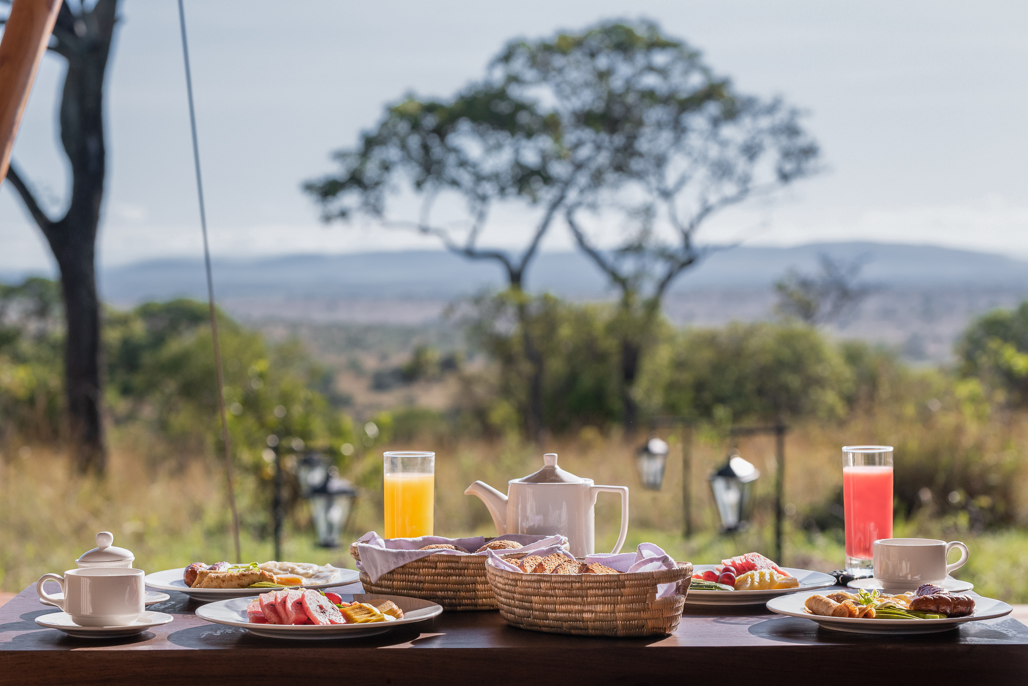Breakfast with view of the bush