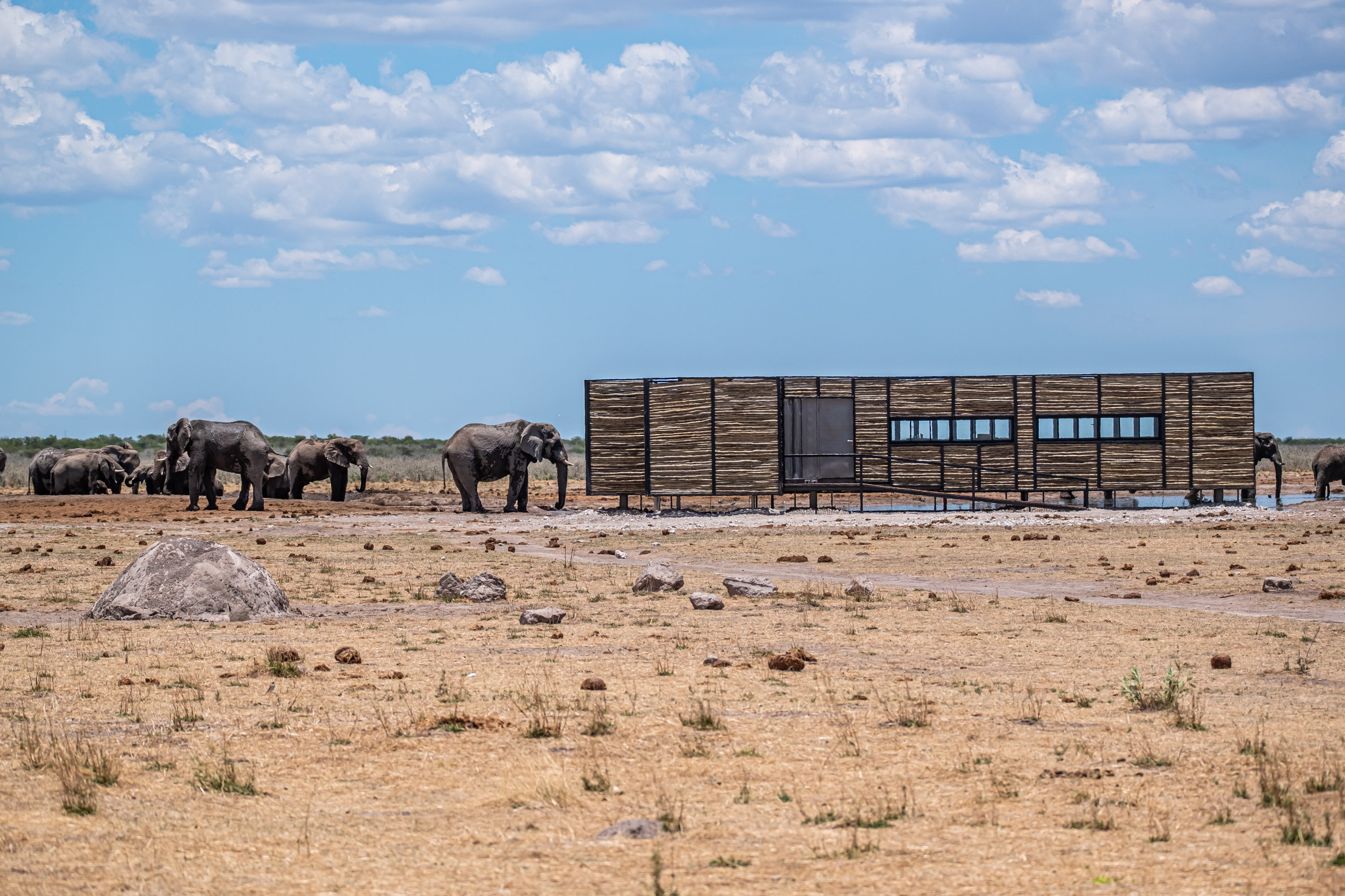 Etosha King Nehale activity: Excursion to the Ontelelo outpost