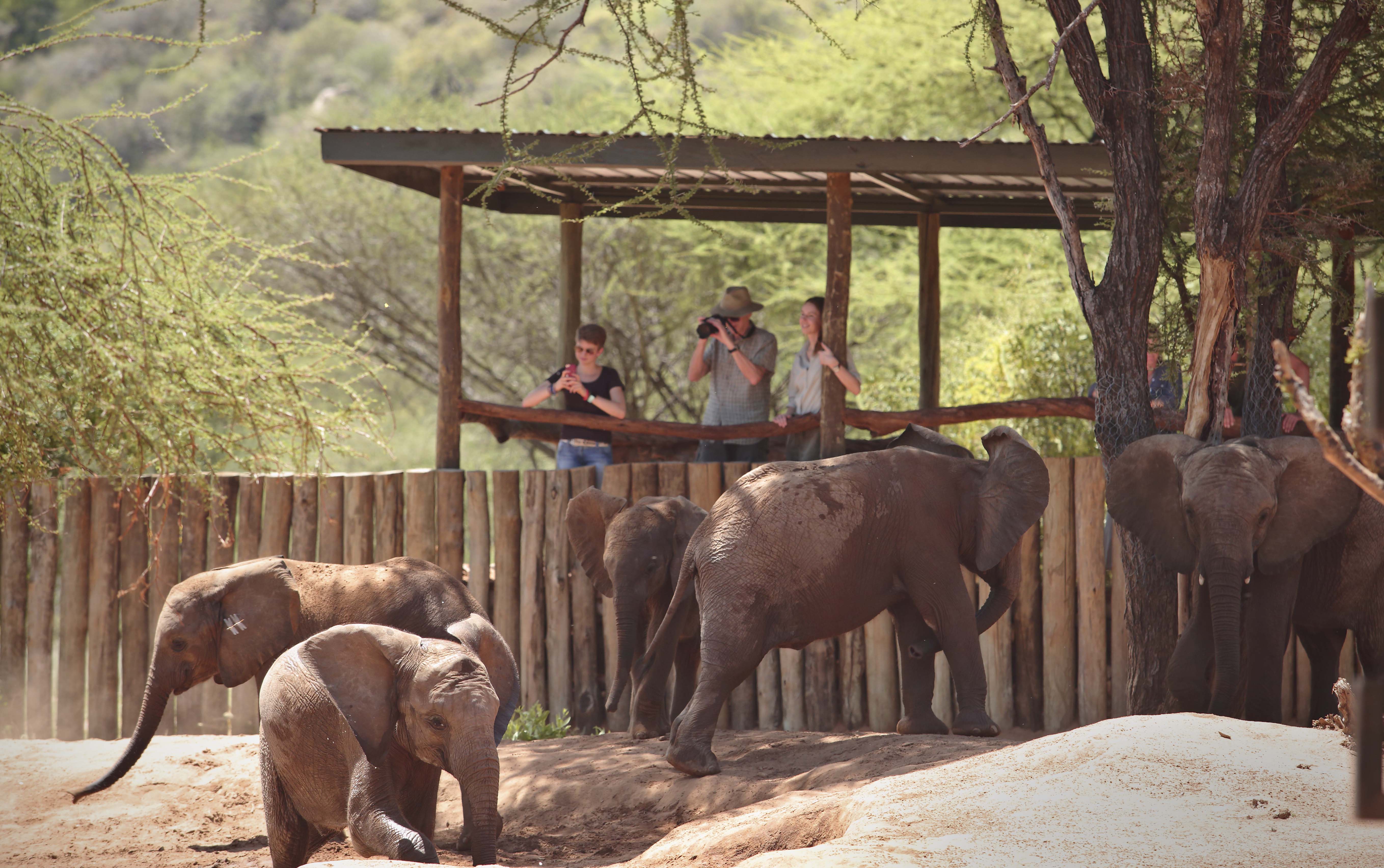 Reteti Elephant Sanctuary