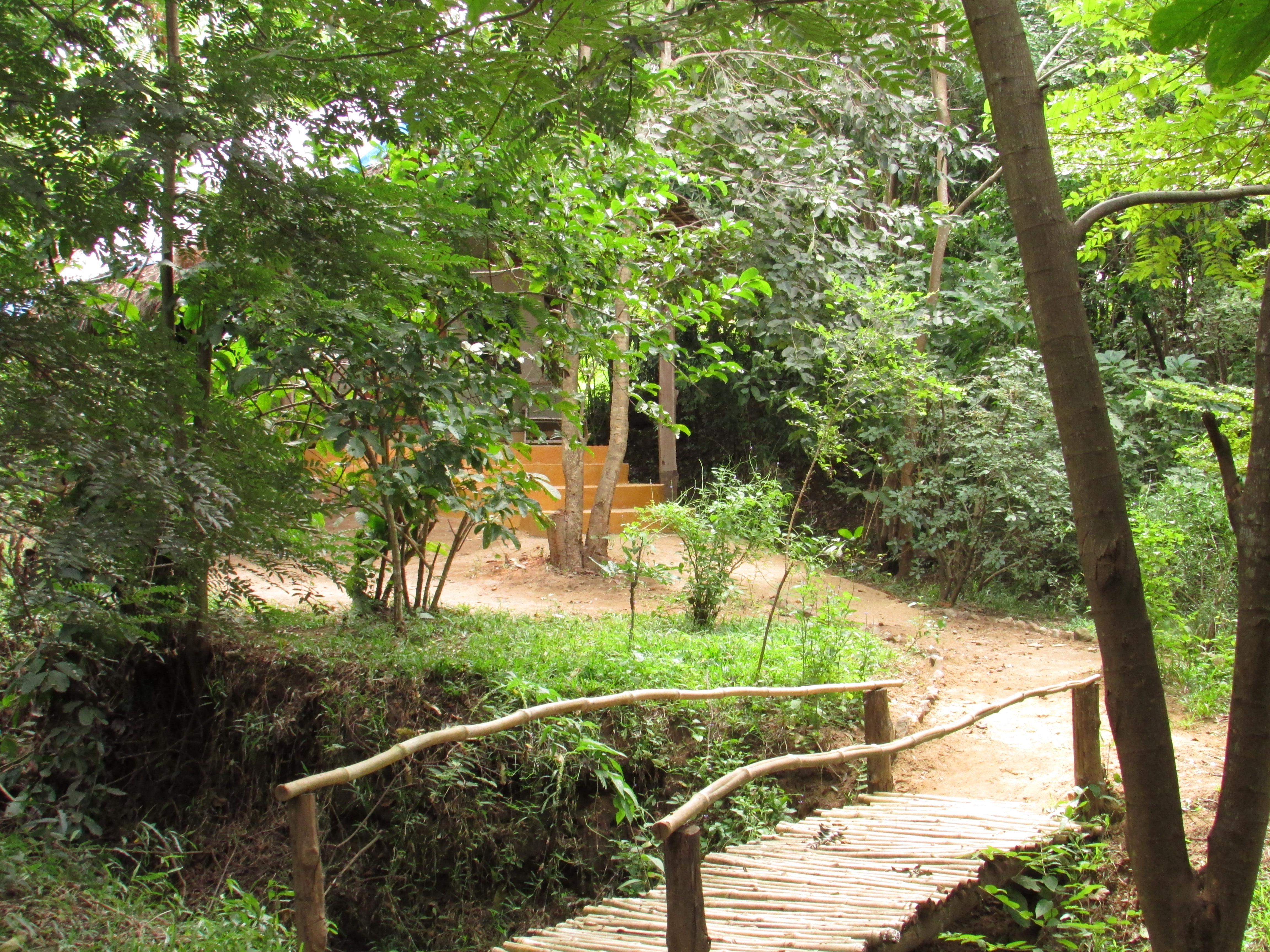 En-suite tent tucked within the trees