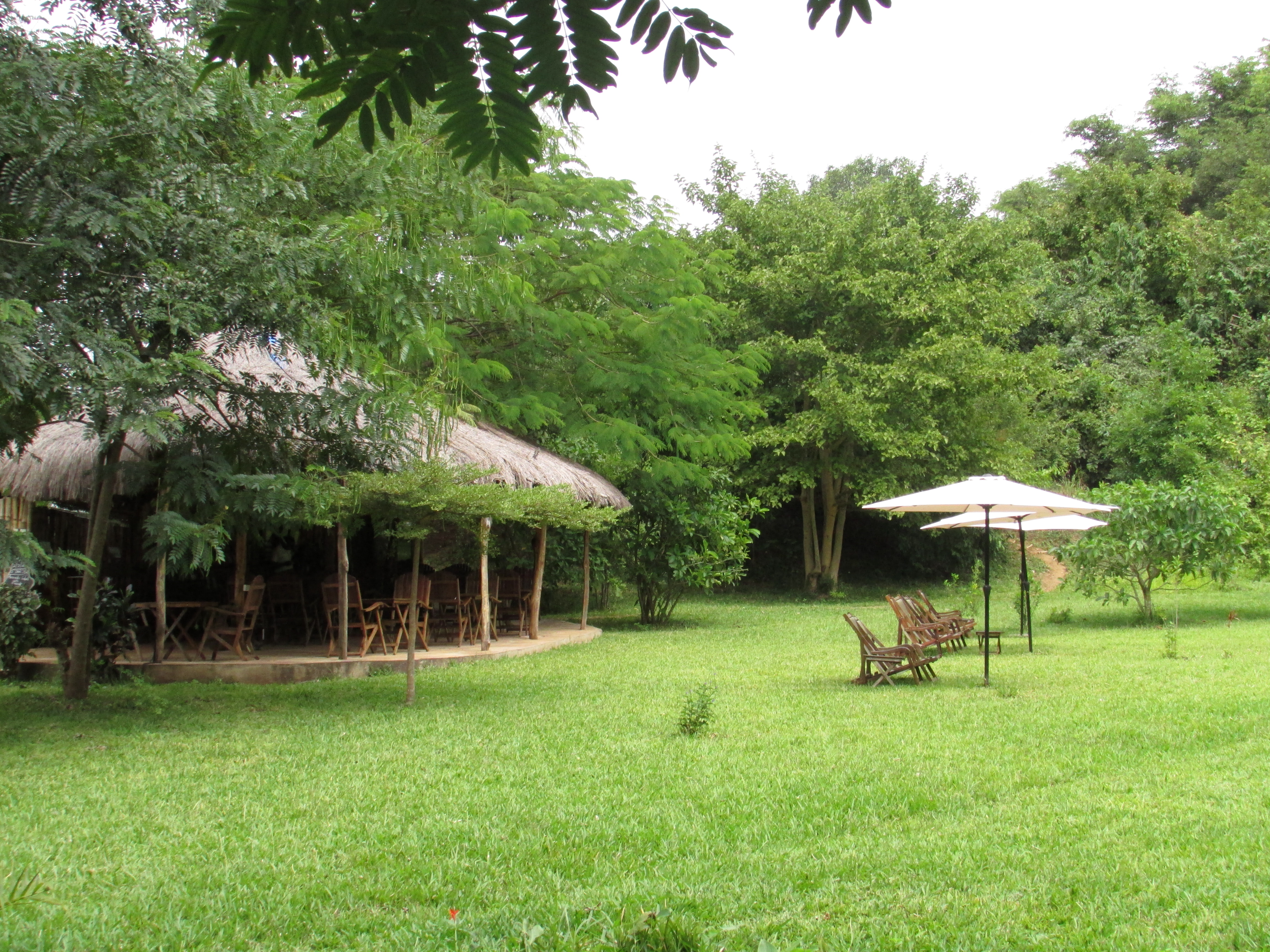 Lush grounds around the Bar and Restaurant
