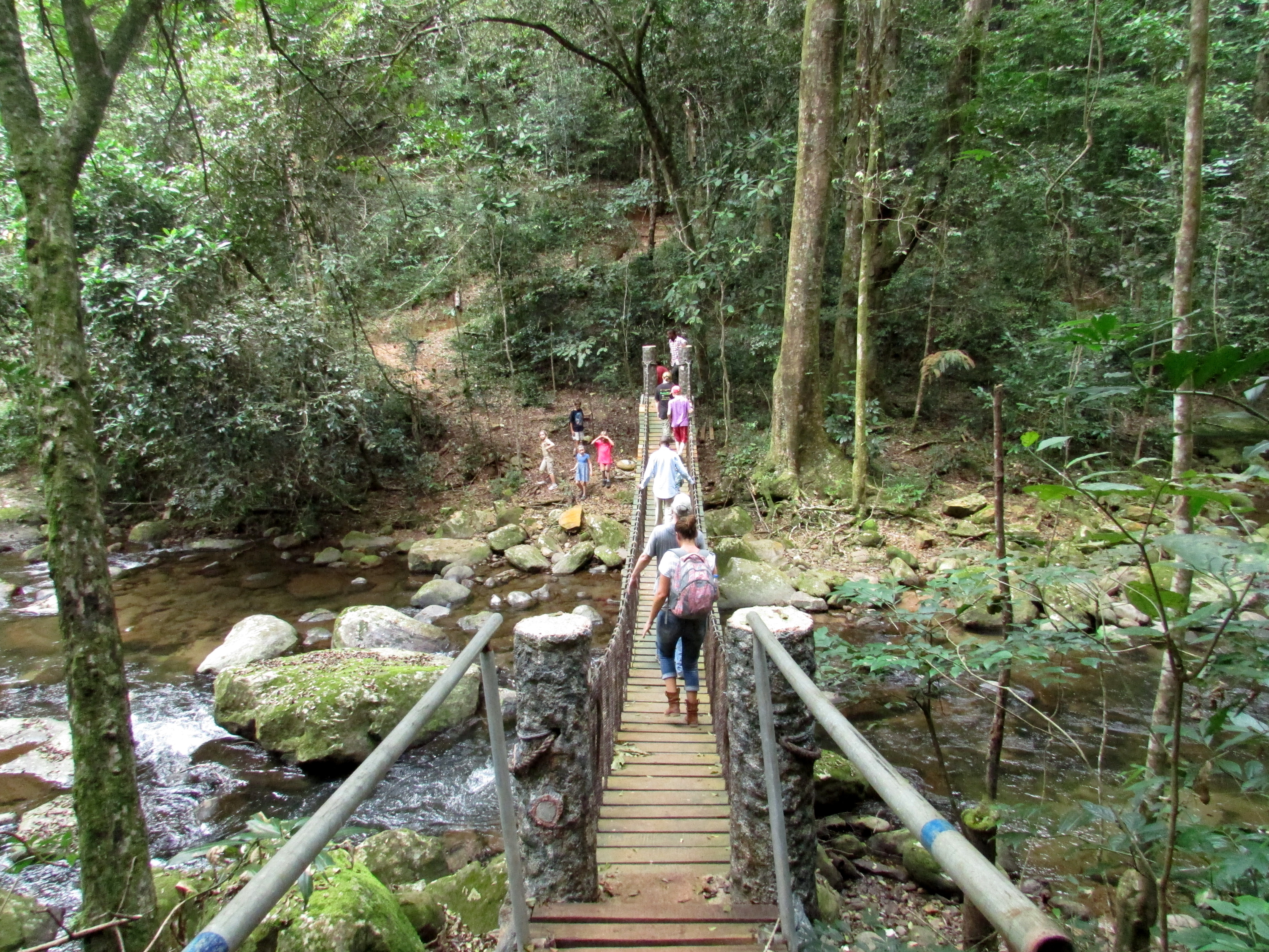 Rope bridge to cross the rivers within the Udzungwa National Park