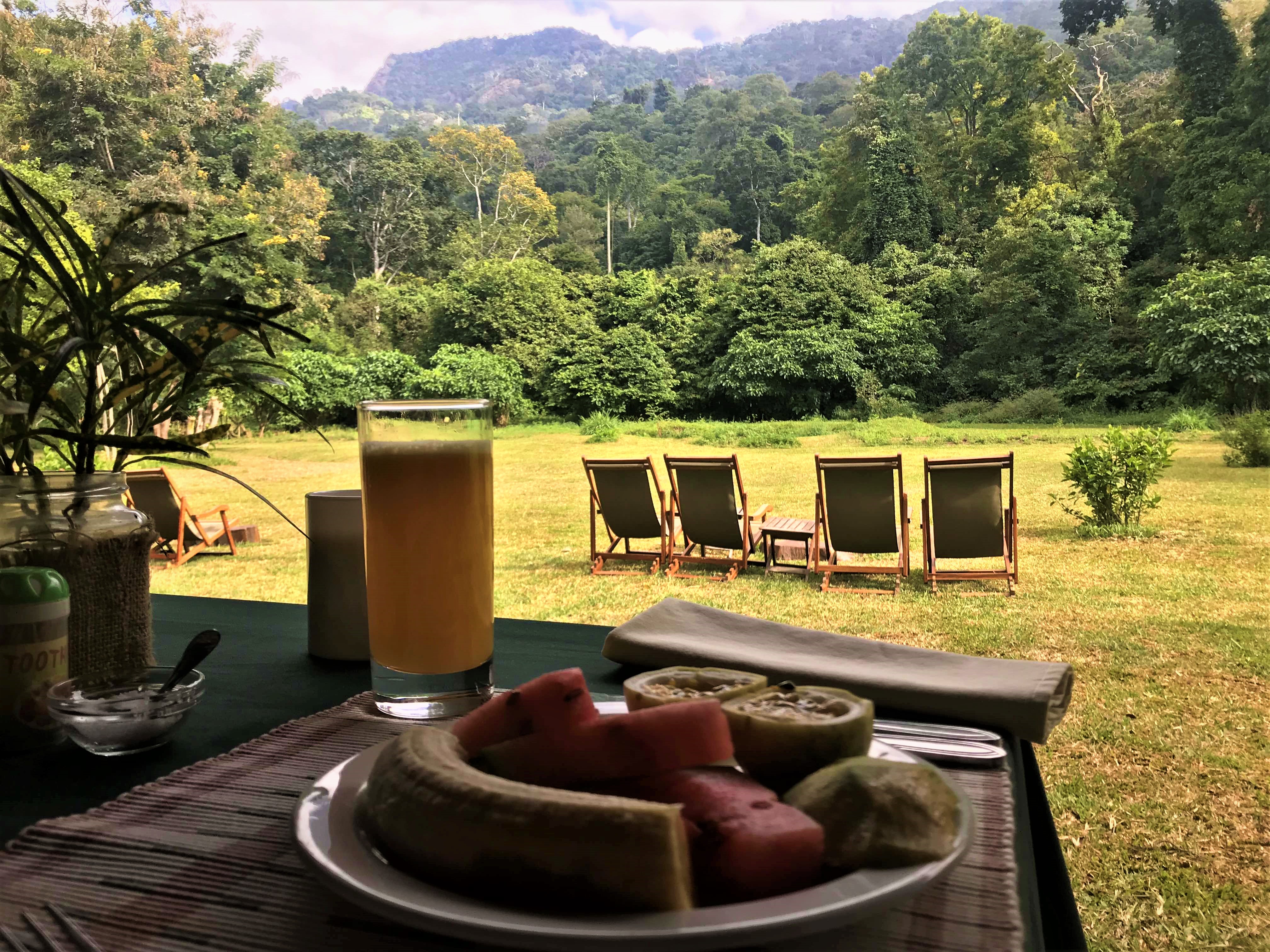 View from the breakfast table